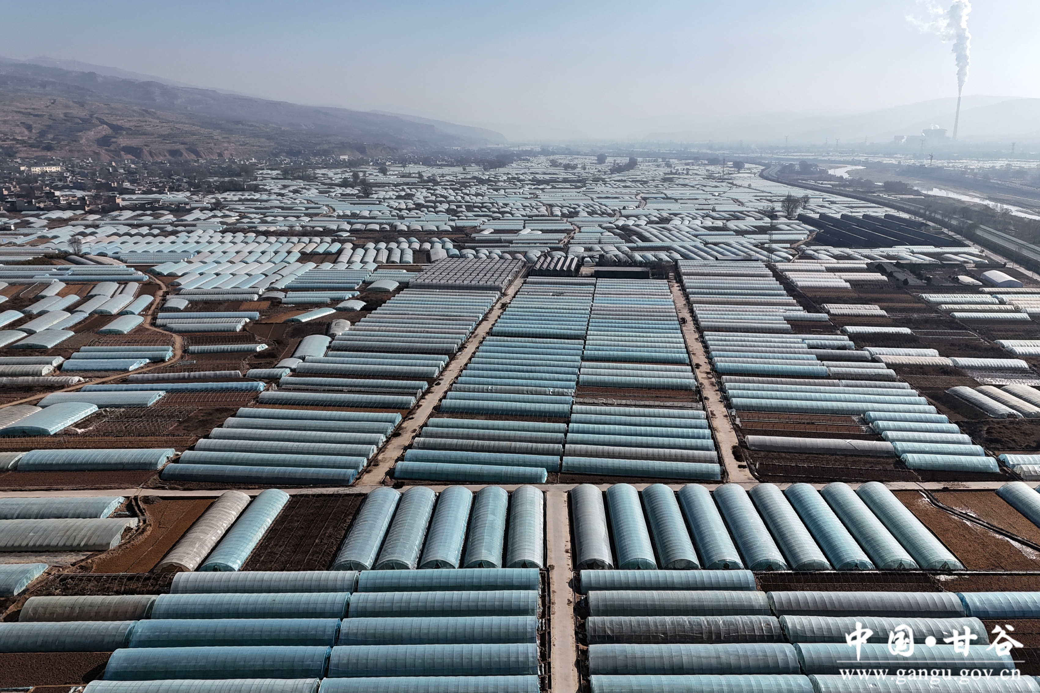 1737334300903085332.jpg 1737334300903085332.jpg