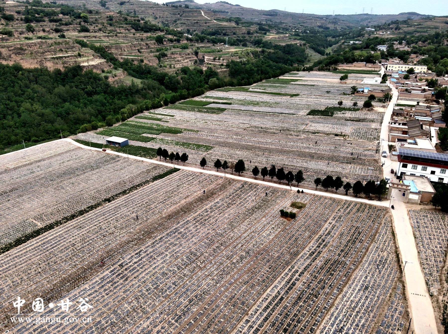 7f485714c00709f79dcb8c608f1d833 7f485714c00709f79dcb8c608f1d833