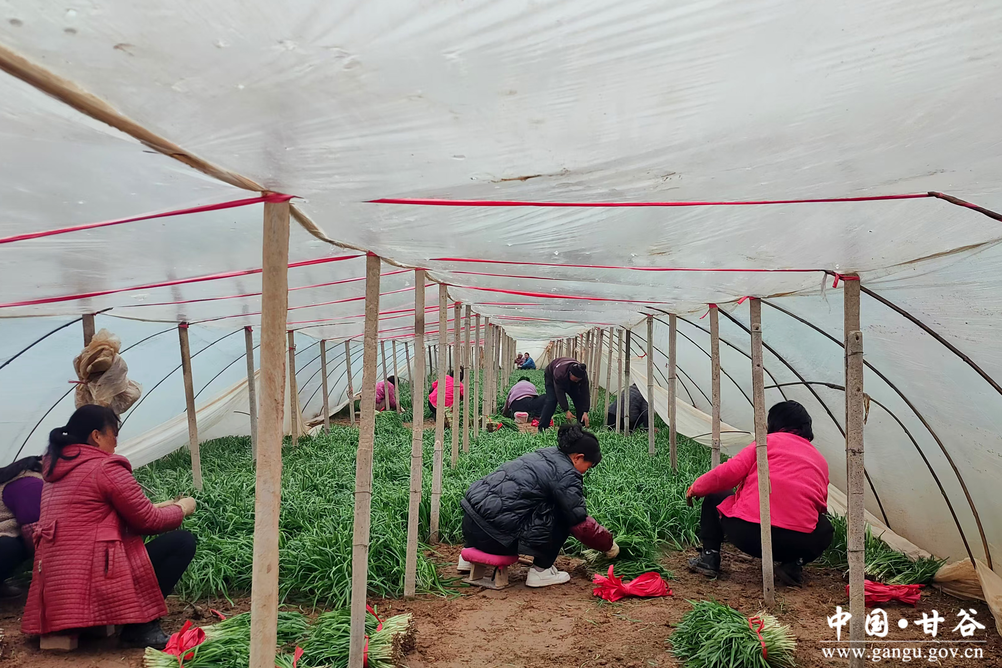 1737334421354018727.jpg 1737334421354018727.jpg