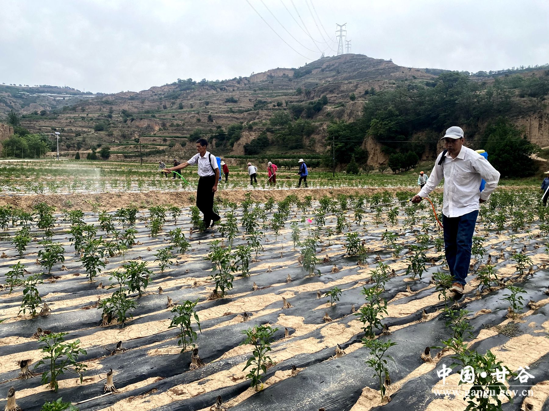 6a78c4b25480f3f2a3966406a7f17d5 6a78c4b25480f3f2a3966406a7f17d5