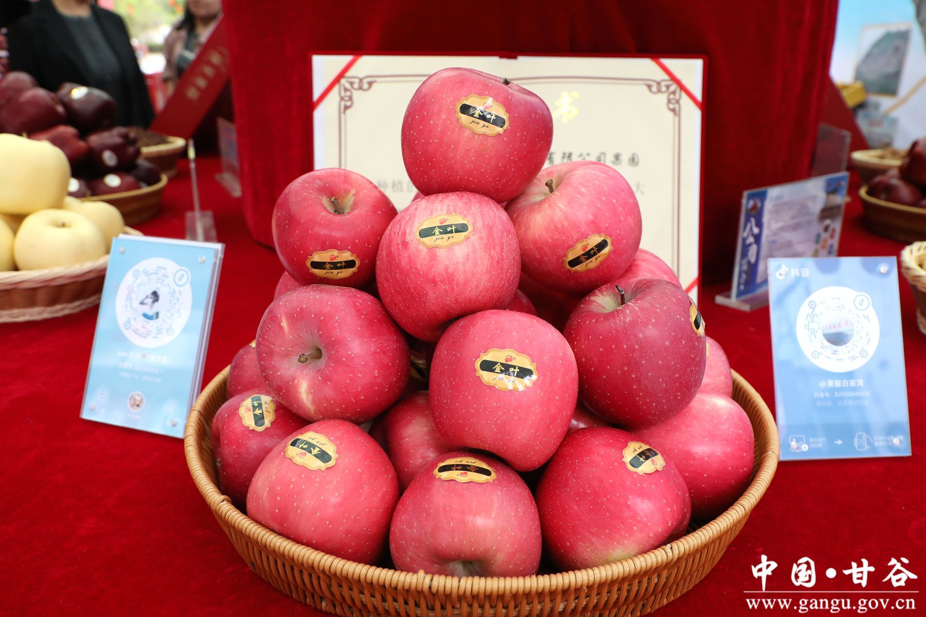 930A9810_副本 930A9810_副本