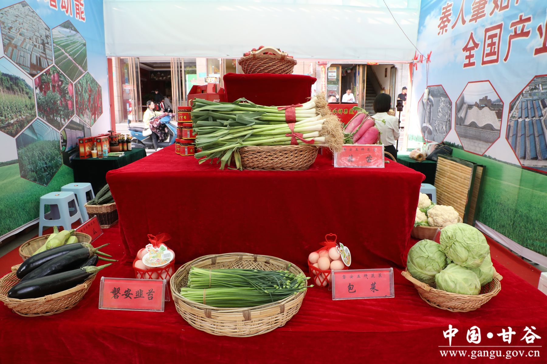 930A9902_副本 930A9902_副本