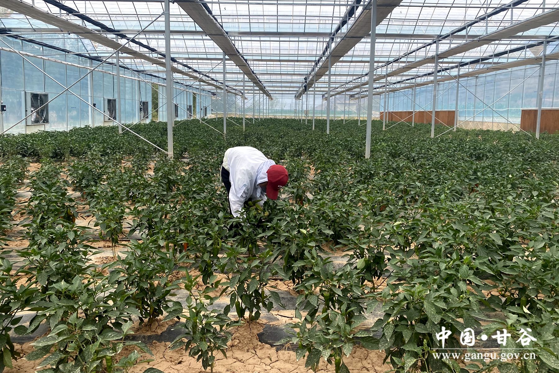 a91b44a606c52678c472a4117255f89 a91b44a606c52678c472a4117255f89