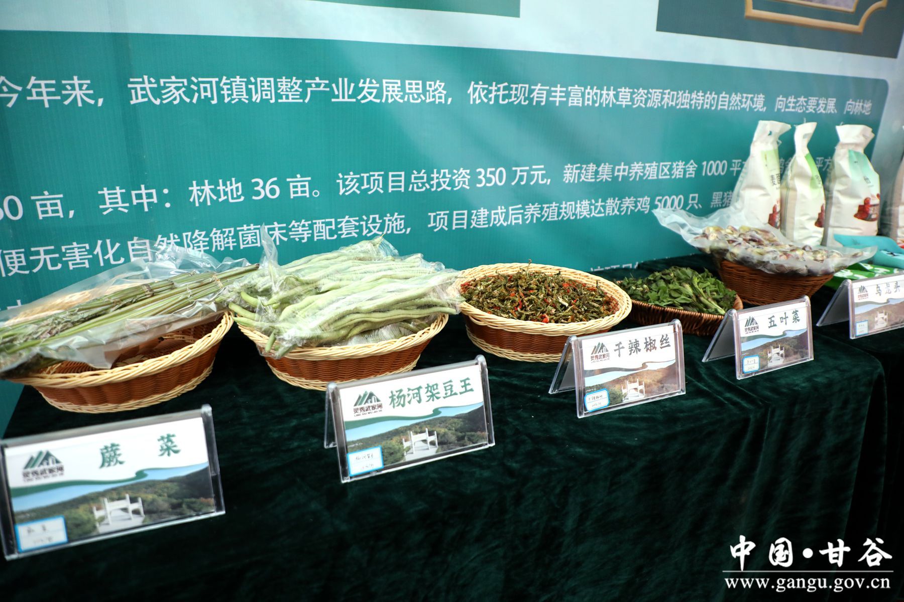 930A9853_副本 930A9853_副本