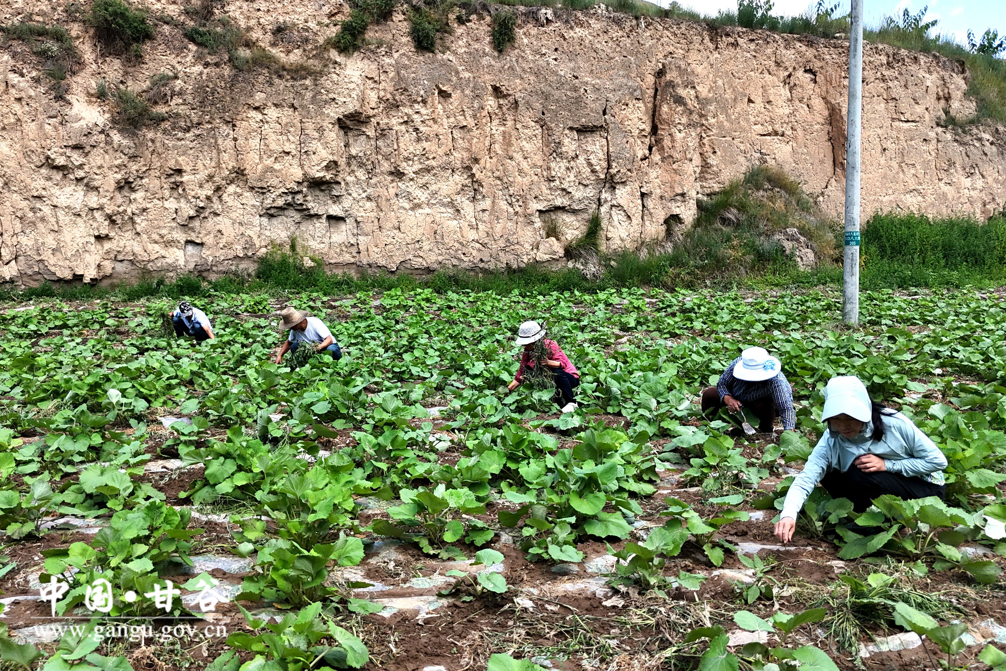 1720428516692067353.jpg 1720428516692067353.jpg