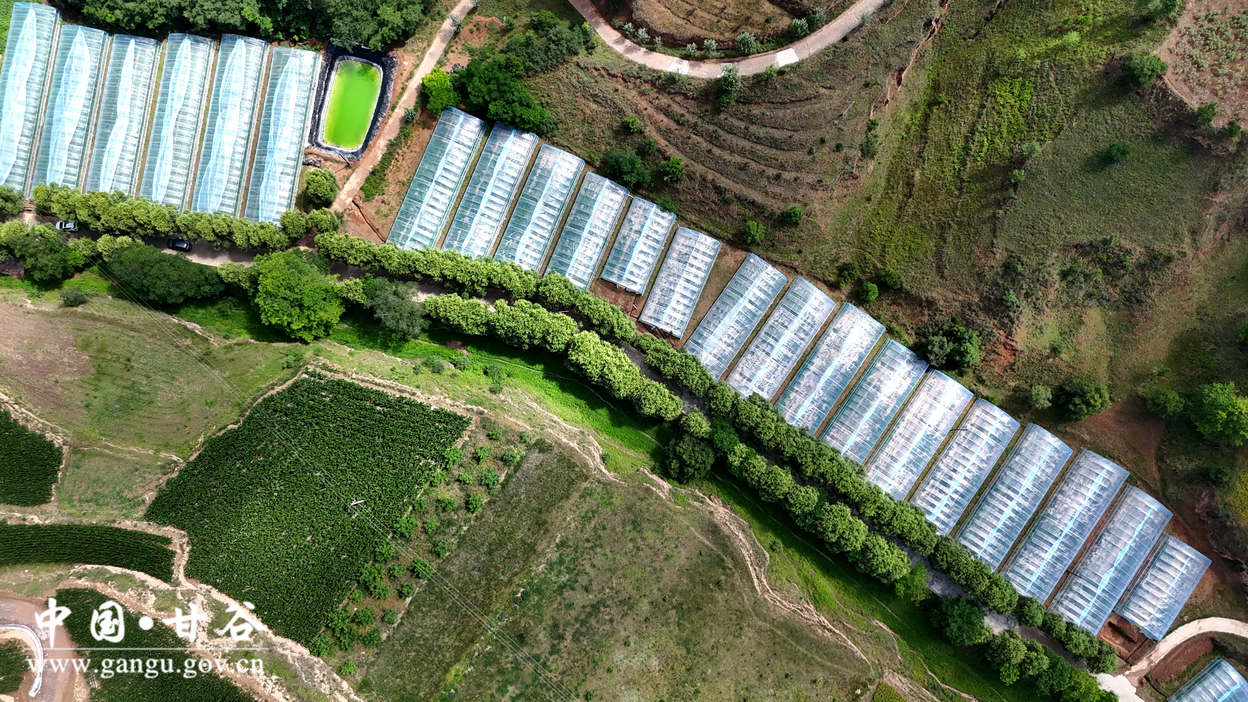 1720428711511009386.jpg 1720428711511009386.jpg