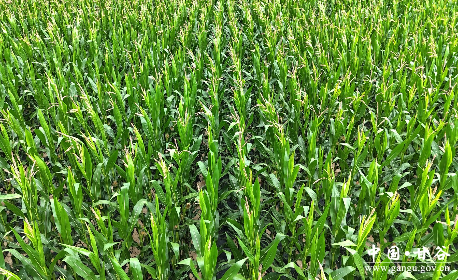 576627916e6b74fe75605f7beaf44de 576627916e6b74fe75605f7beaf44de