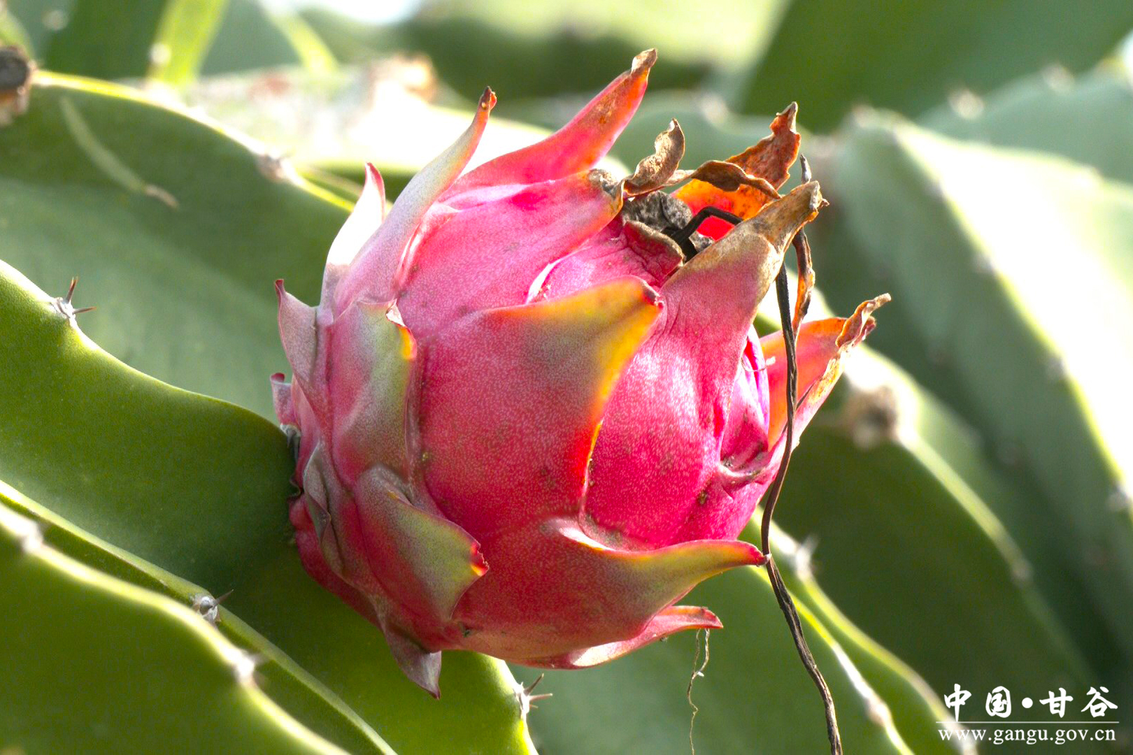 1763519430848064674.jpg 1763519430848064674.jpg