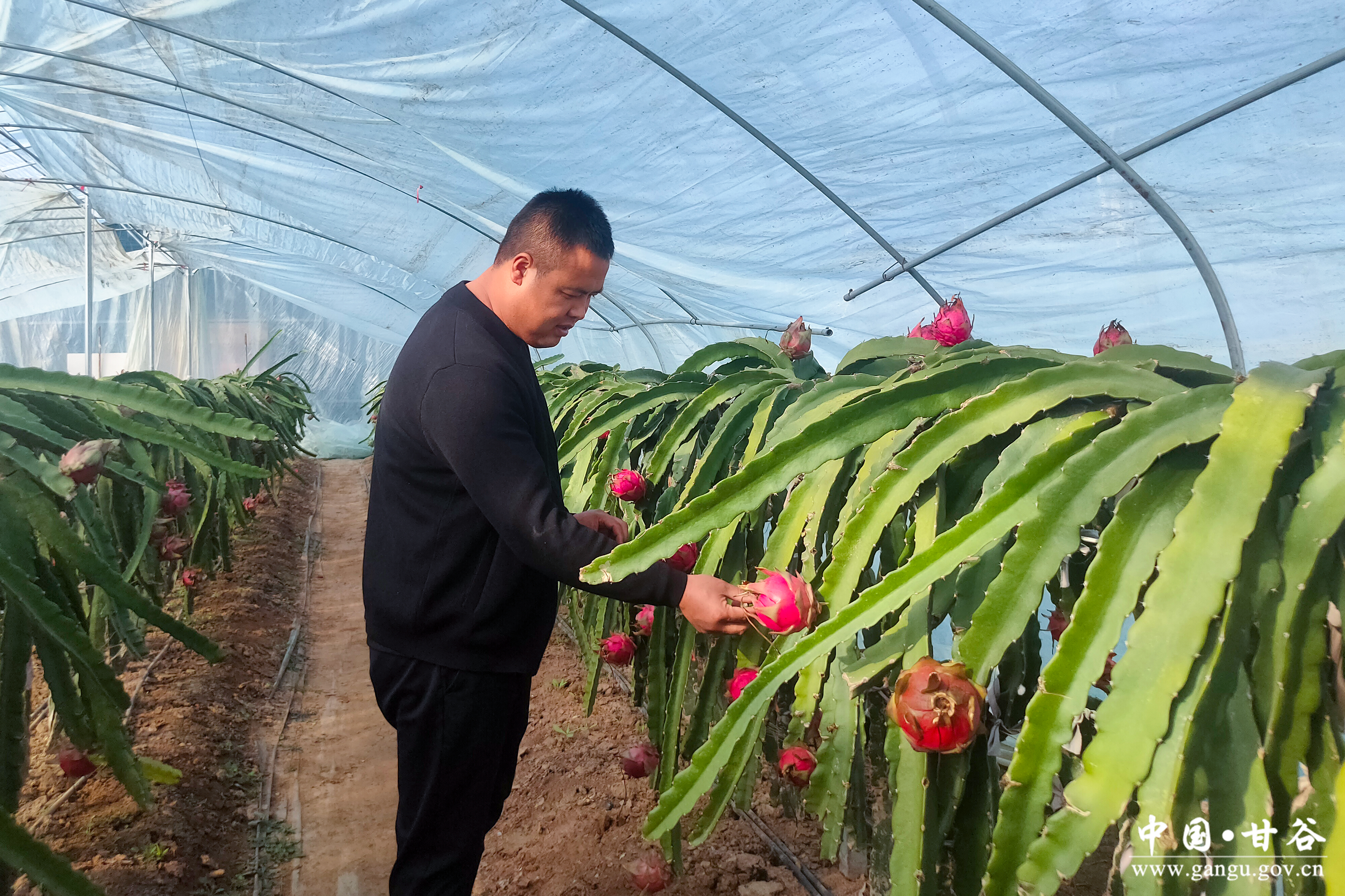 1763519415480058205.jpg 1763519415480058205.jpg