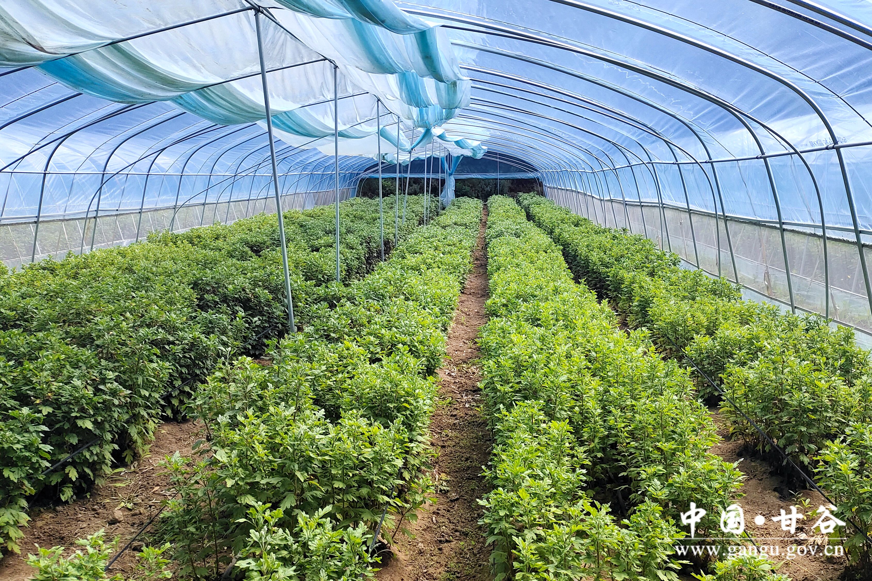 1720429103626065604.jpg 1720429103626065604.jpg