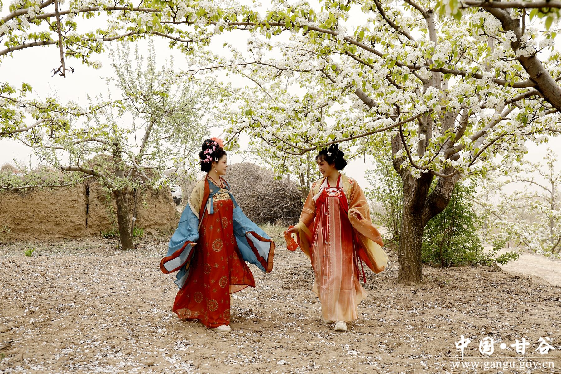 _MG_2361_副本_副本