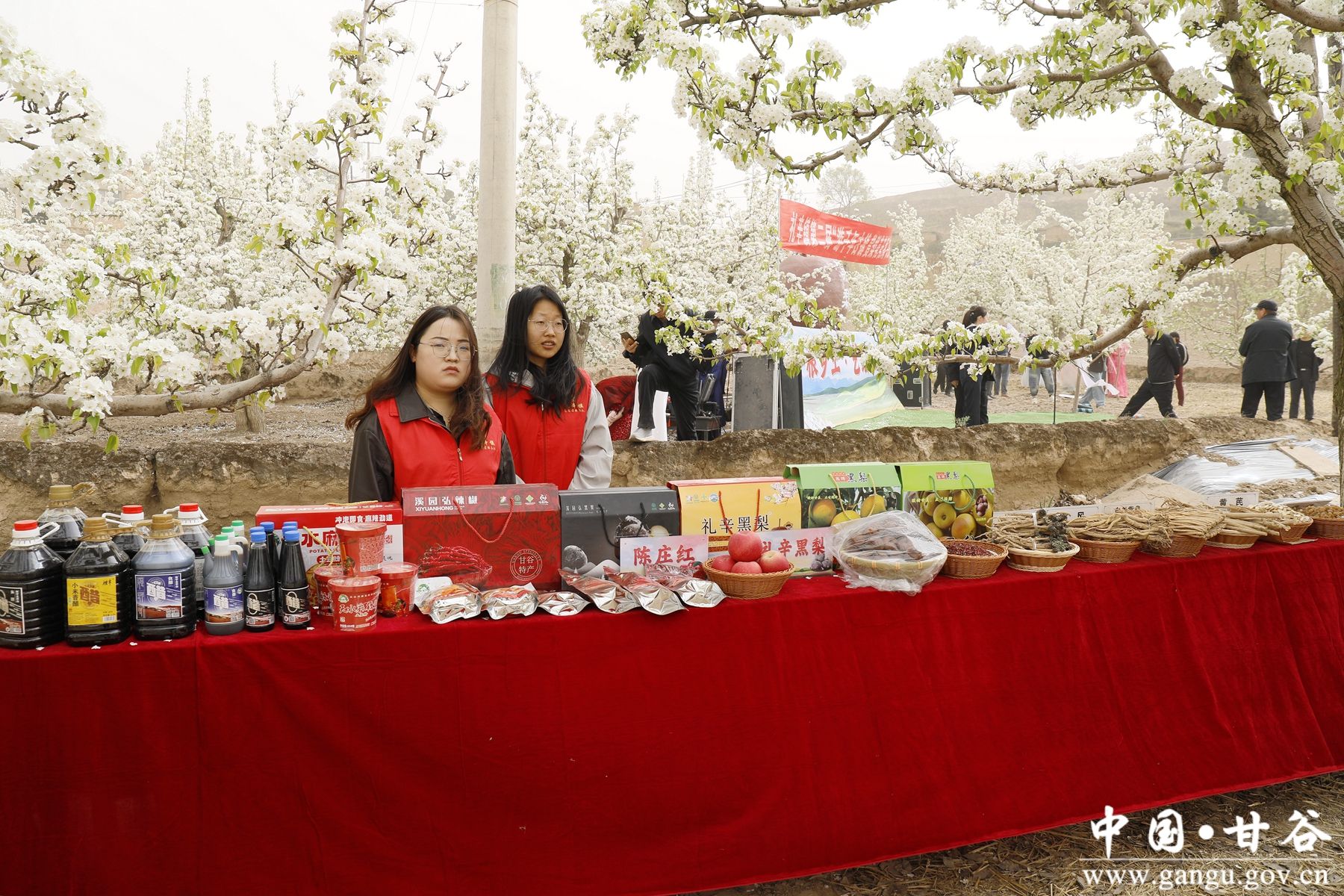 _MG_2006_副本_副本