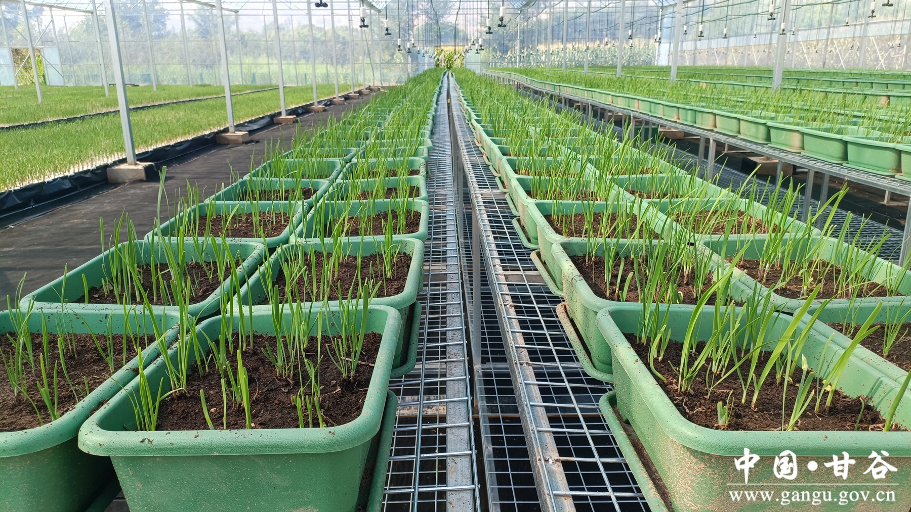 微信图片_20250718092701 微信图片_20250718092701