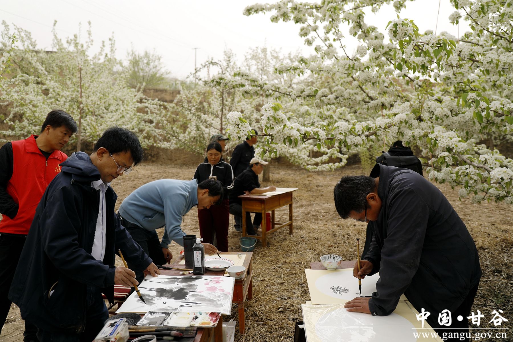 _MG_2199_副本_副本