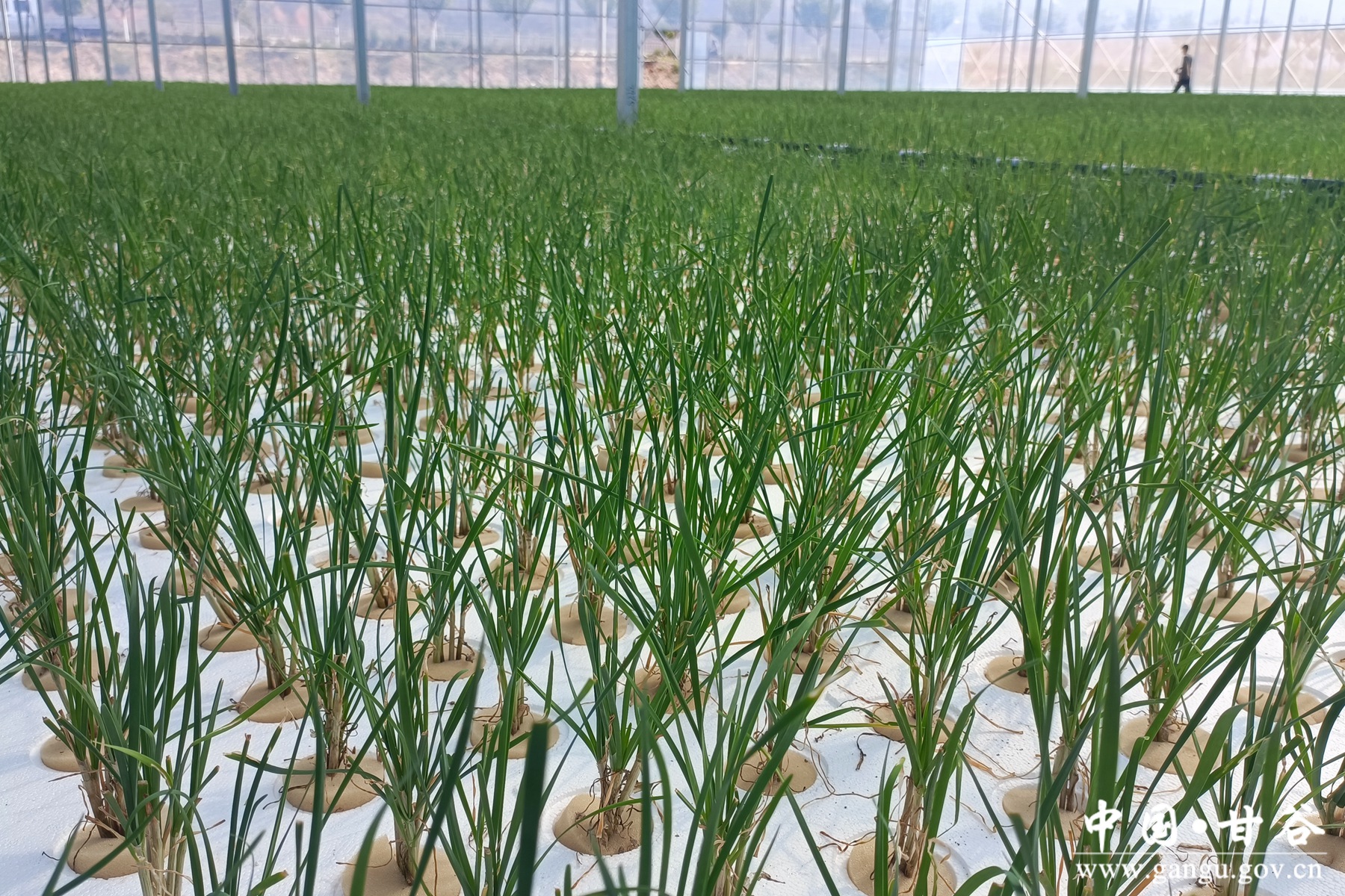 微信图片_20250718092633 微信图片_20250718092633