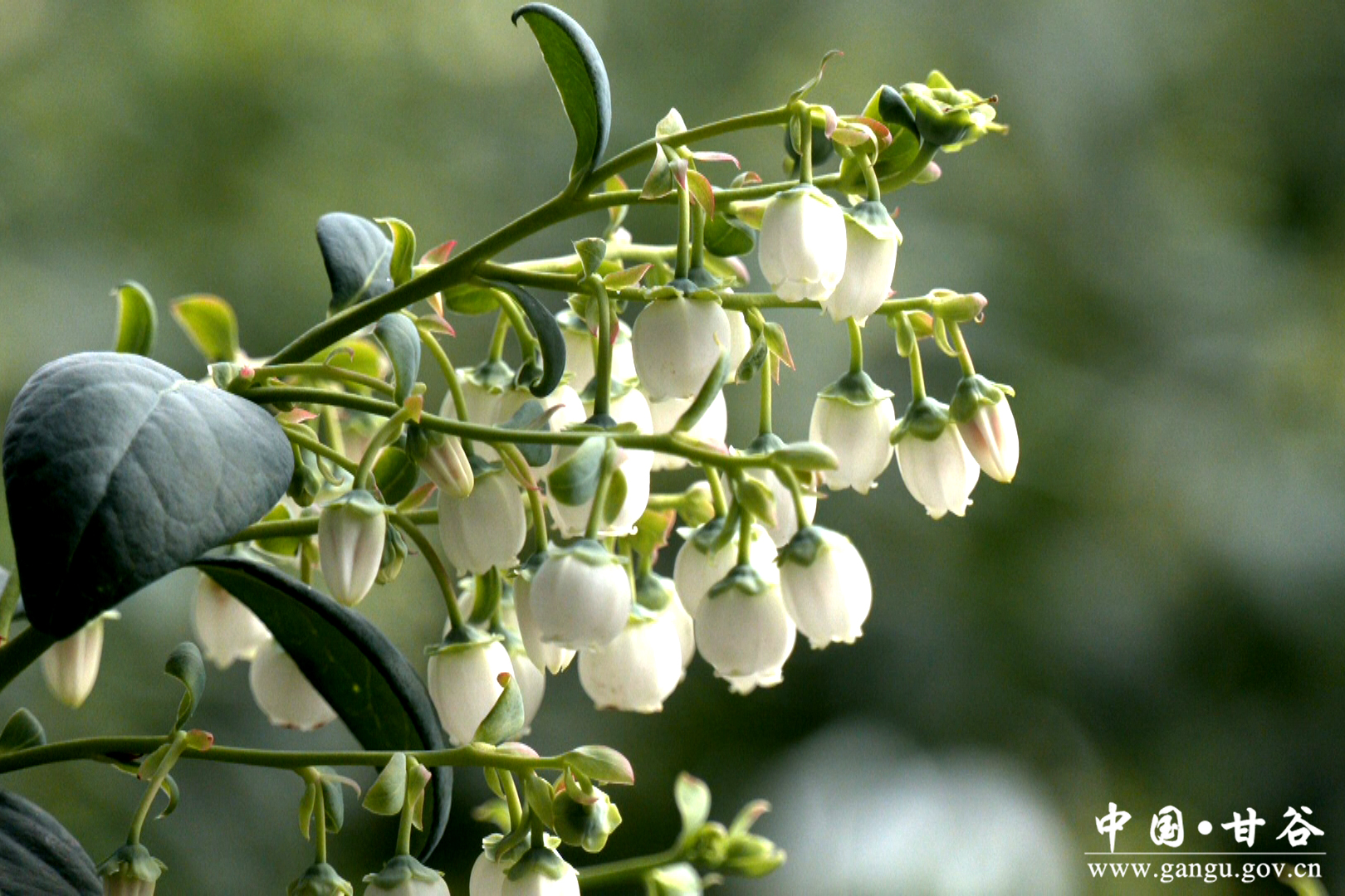 1735266703565081301.jpg 1735266703565081301.jpg