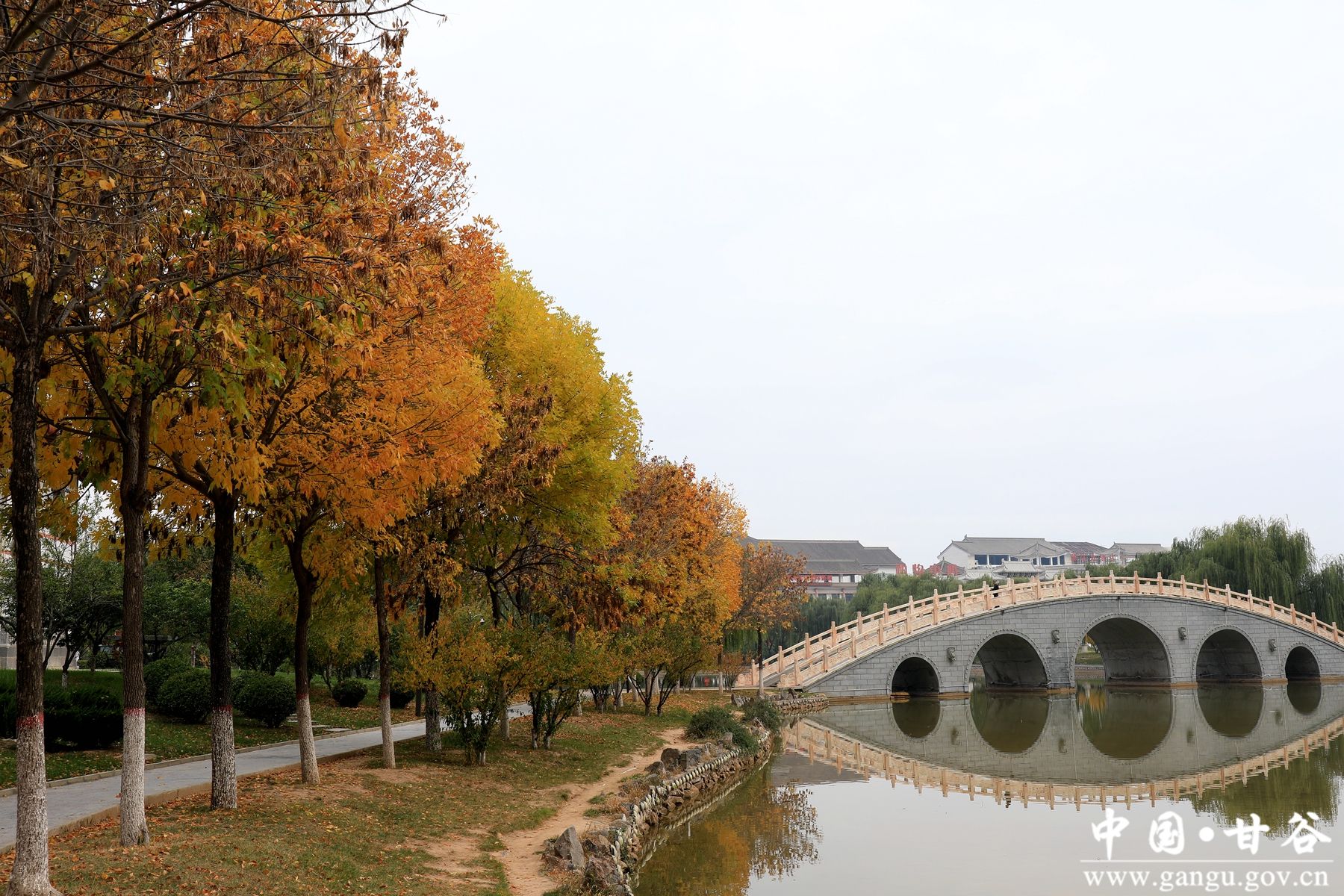 IMG_0369_副本 IMG_0369_副本