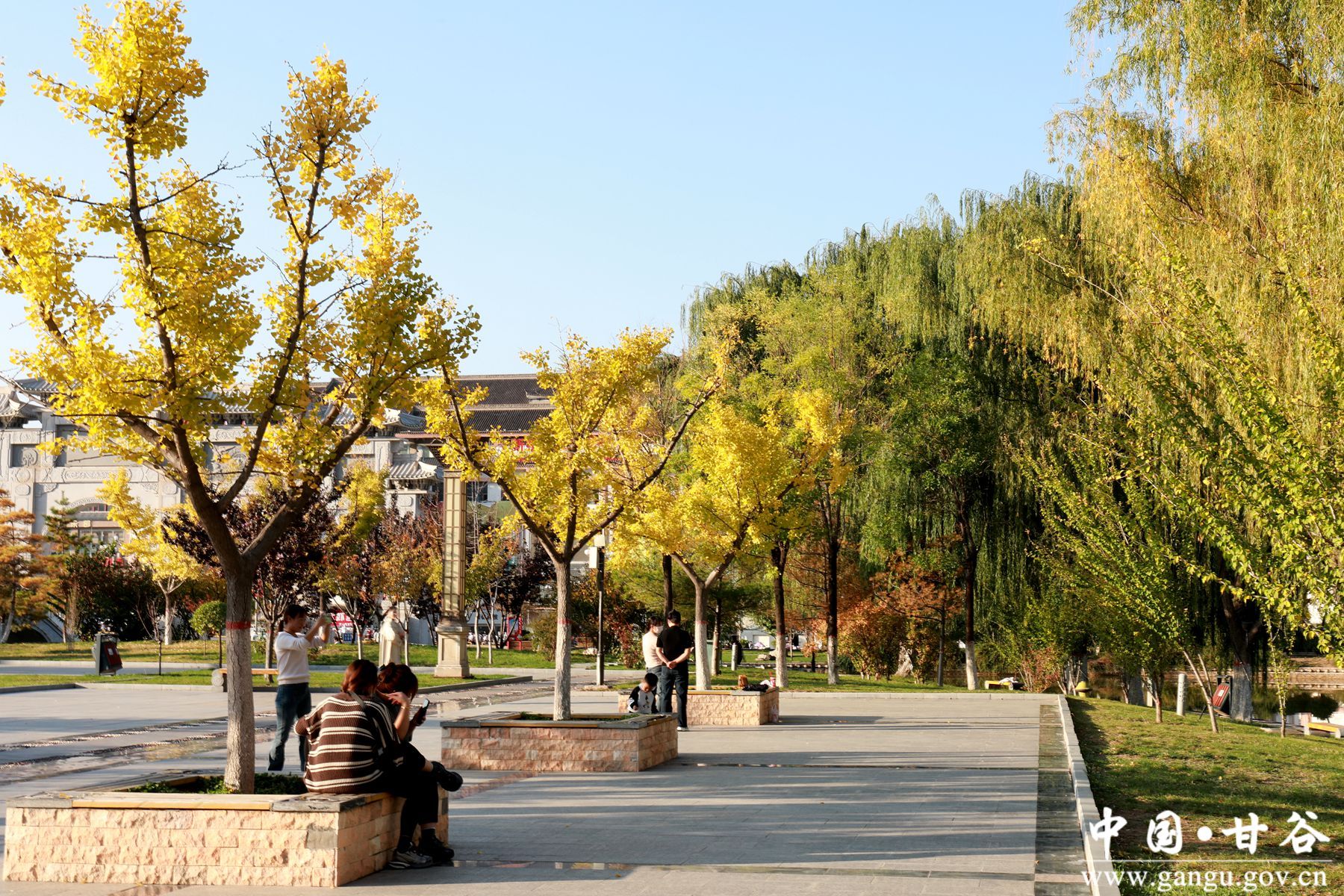 微信图片_20241018104421 微信图片_20241018104421