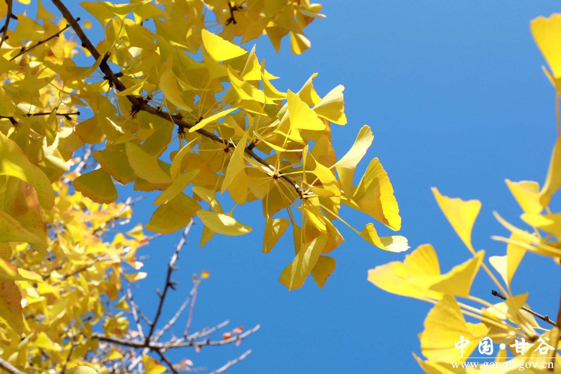 微信图片_20241018104428 微信图片_20241018104428