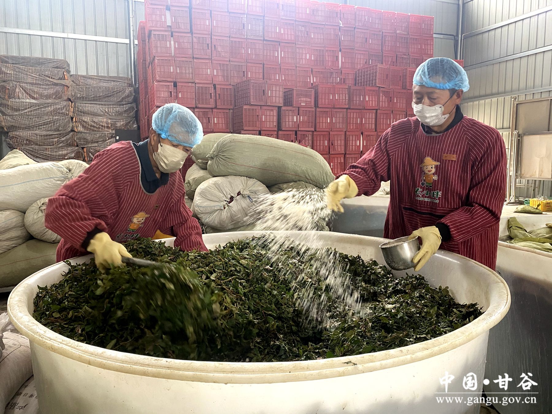 286e6a6487db8043607c06fd769ae16 286e6a6487db8043607c06fd769ae16