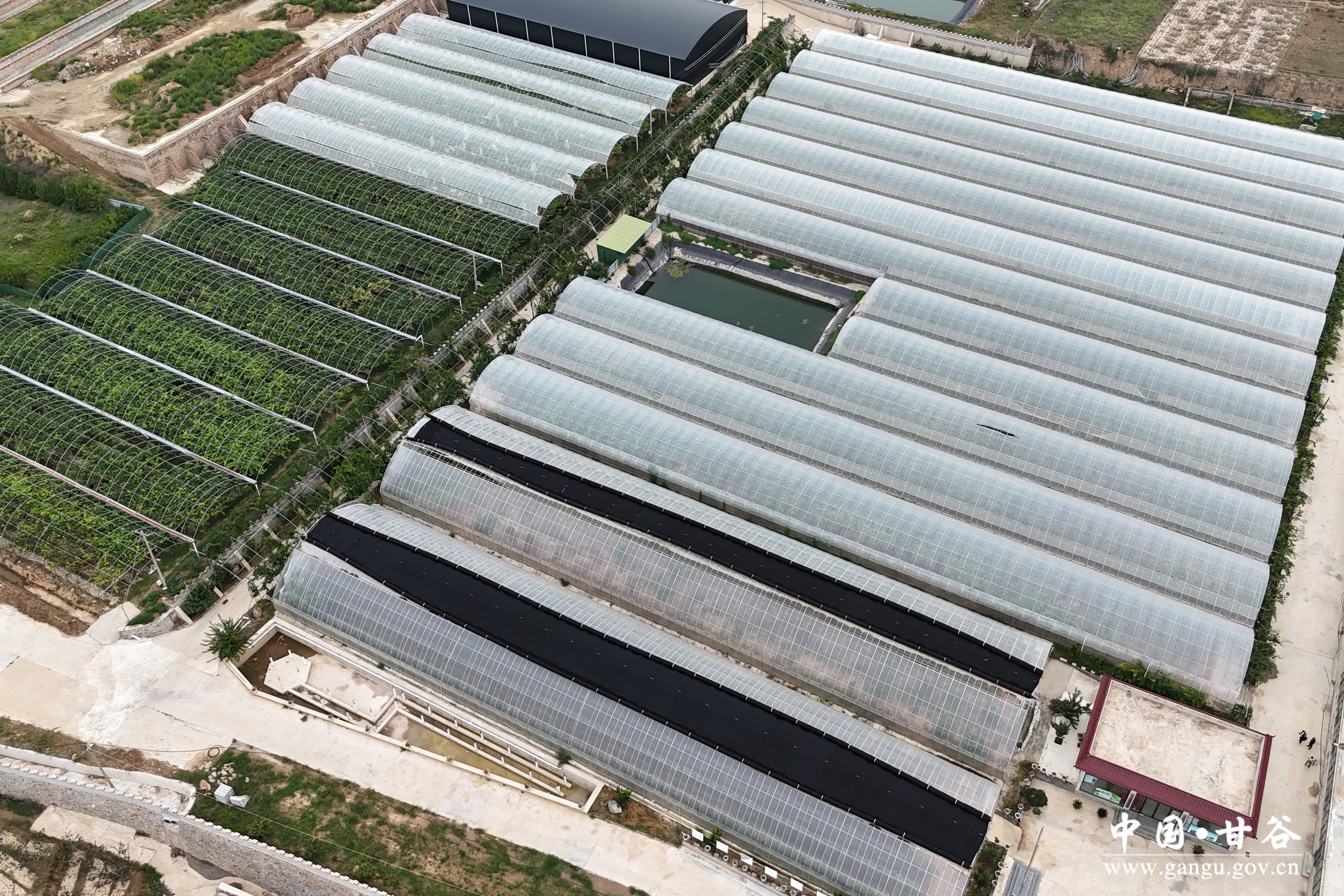 1757036738632005783.jpg 1757036738632005783.jpg