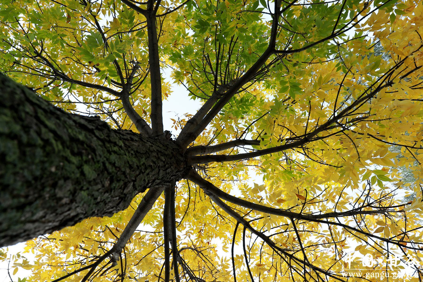 微信图片_20241018104427 微信图片_20241018104427