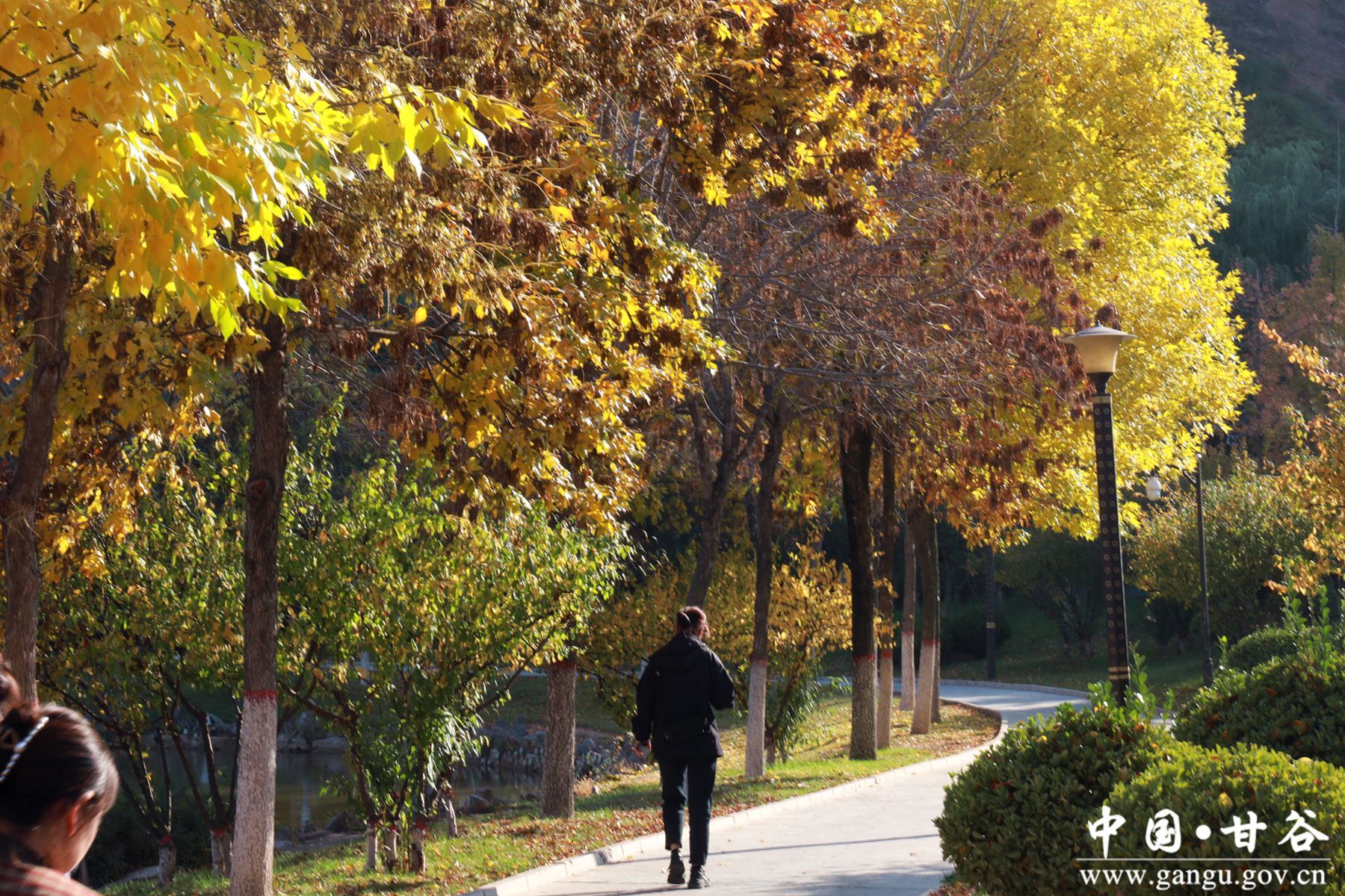 微信图片_20241018104416 微信图片_20241018104416