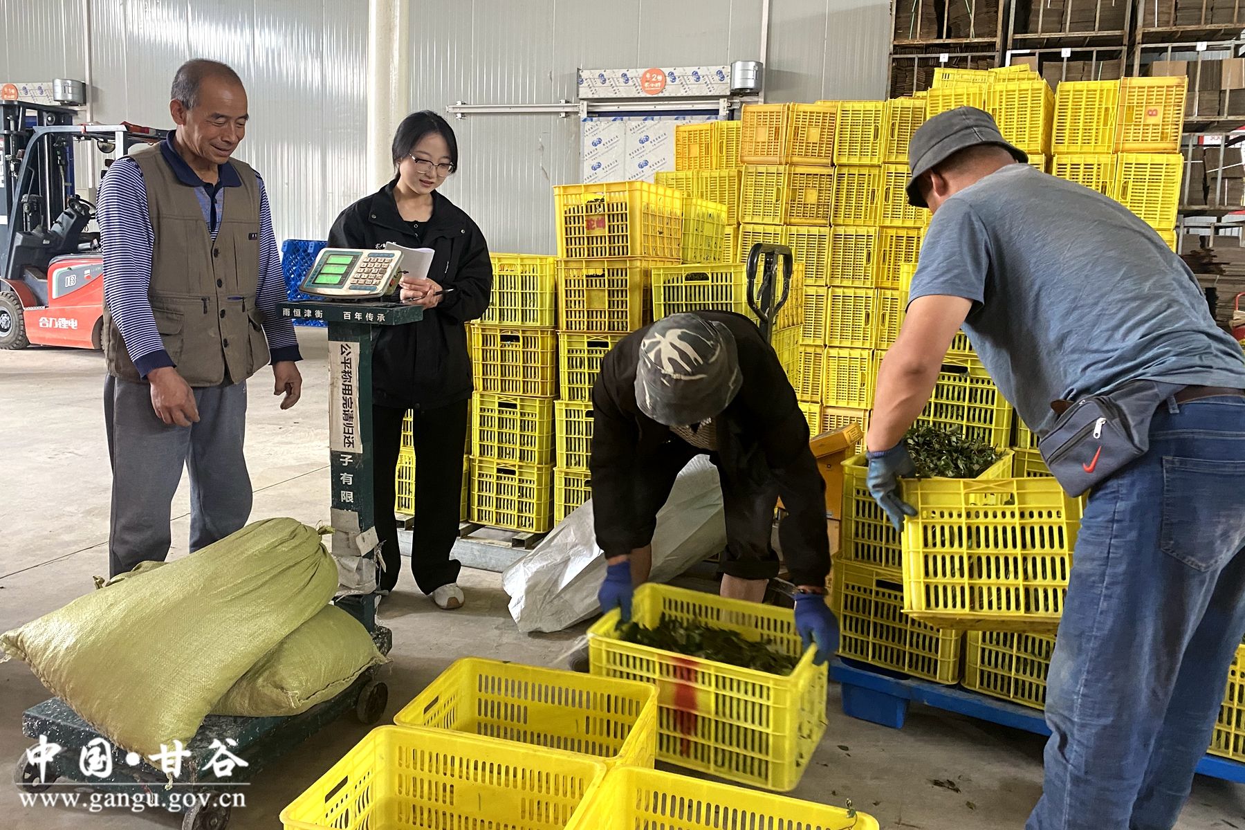 71cba3fc0c45f809679a55624a63bab 71cba3fc0c45f809679a55624a63bab