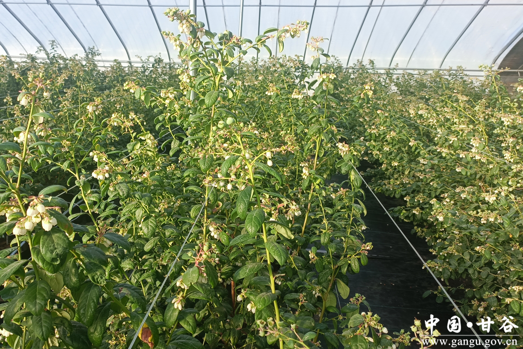 1.33_副本 1.33_副本