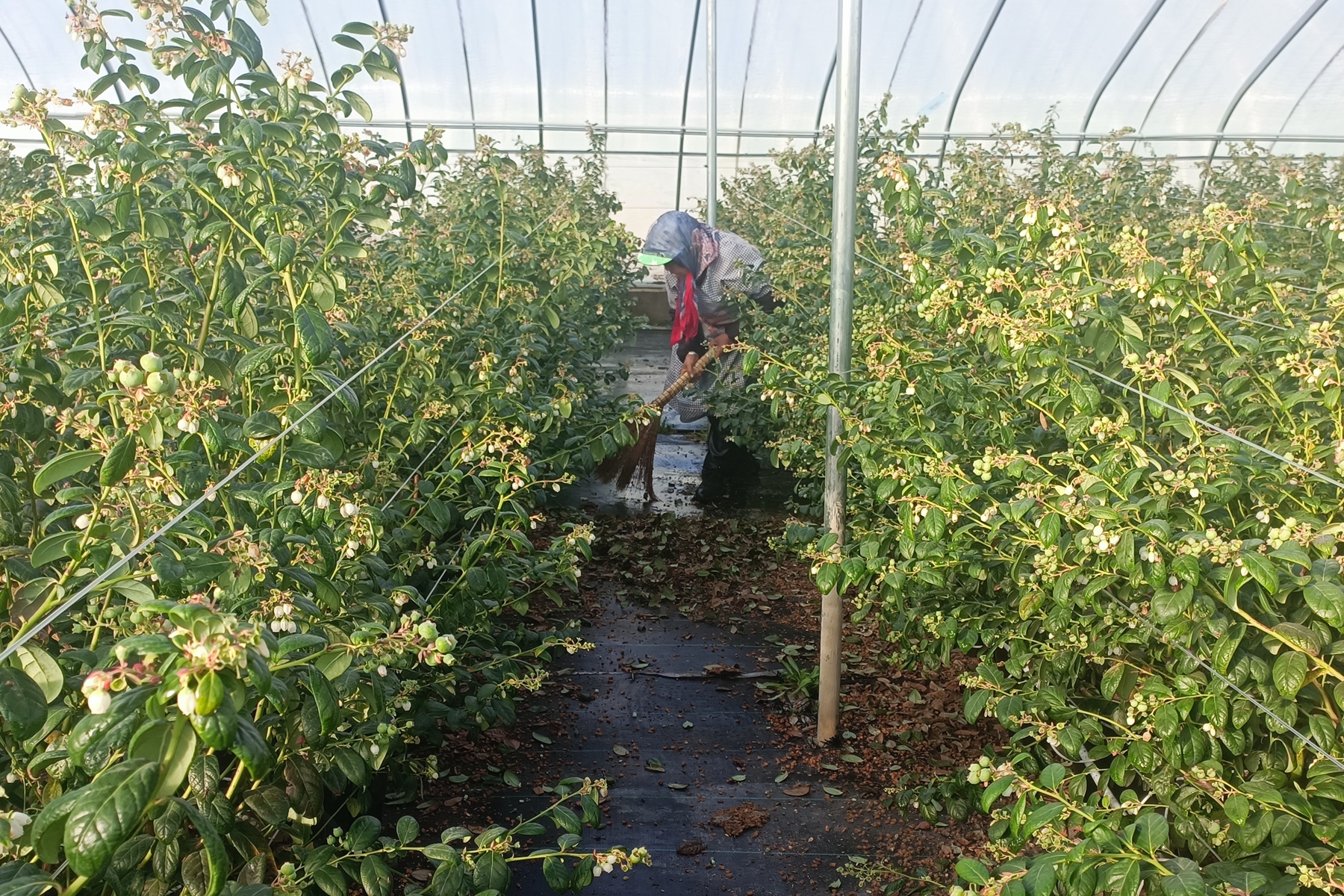 1.32_副本 1.32_副本