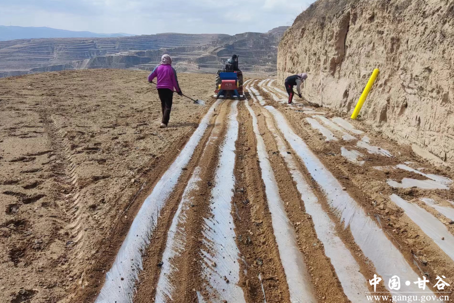 5b7de0aec96b48ed84288d6be24187ae 5b7de0aec96b48ed84288d6be24187ae