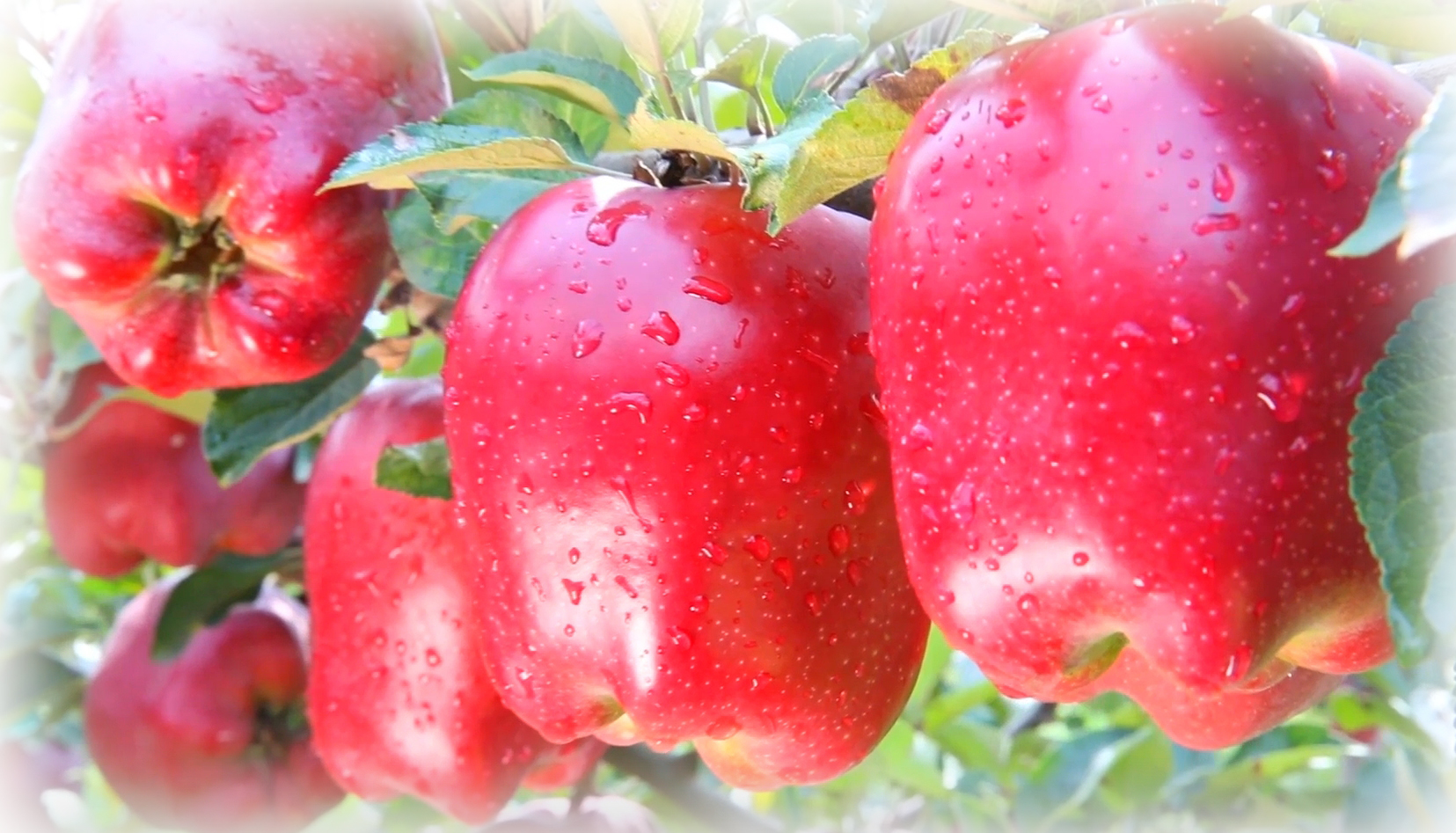 937c3e3d-2241-4433-938d-7d7d64147276_l.jpg 937c3e3d-2241-4433-938d-7d7d64147276_l.jpg