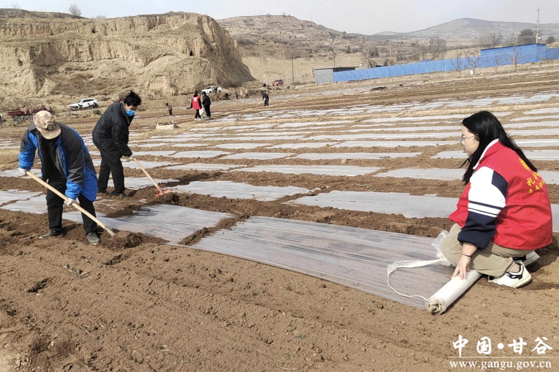 4e3529212b4c4acca48dfc913d194e84 4e3529212b4c4acca48dfc913d194e84