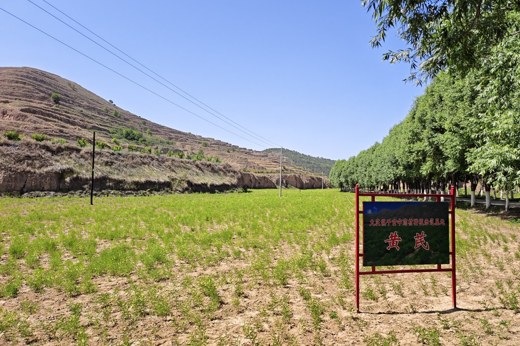 1.33_副本 1.33_副本