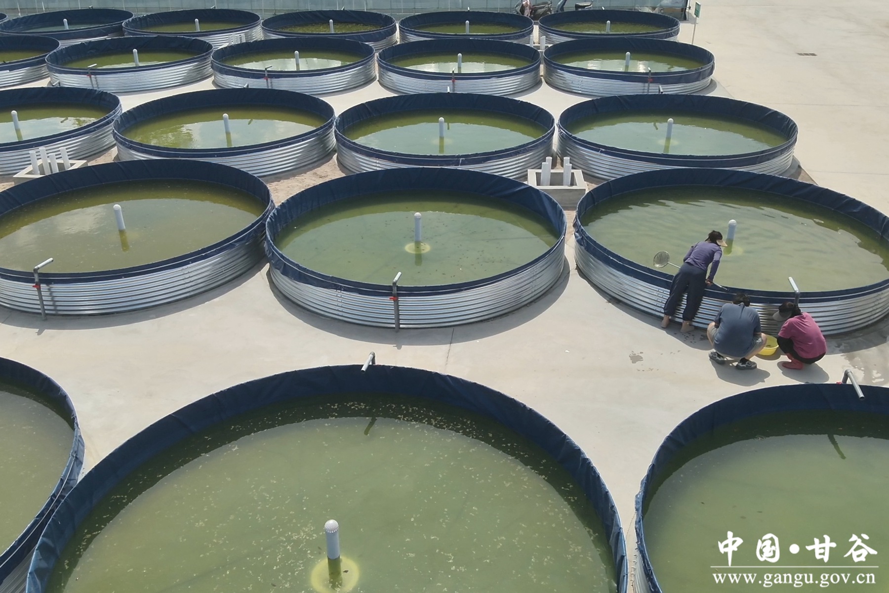 微信图片_20250623100532 微信图片_20250623100532