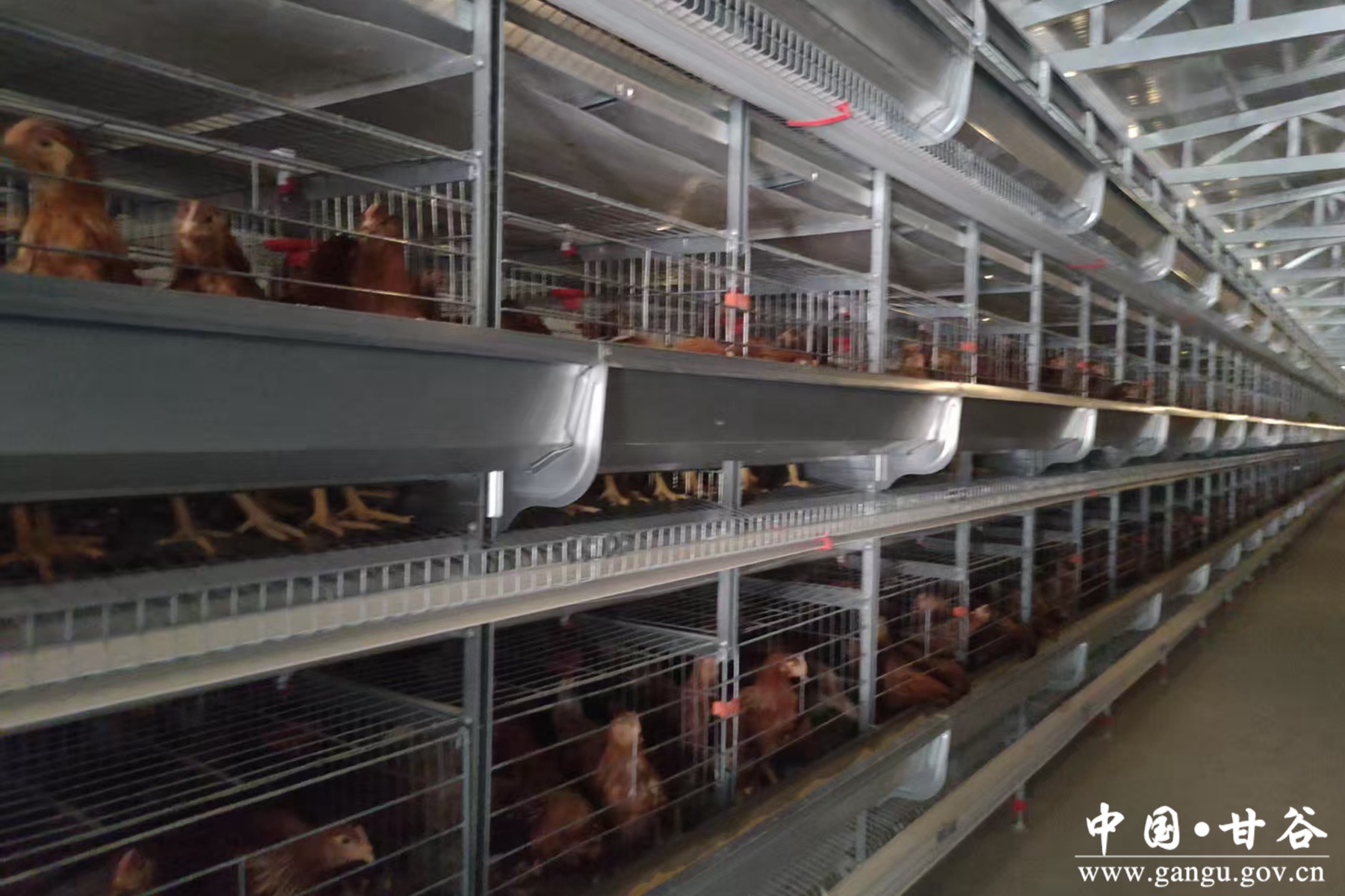 微信图片_20250624095424 微信图片_20250624095424