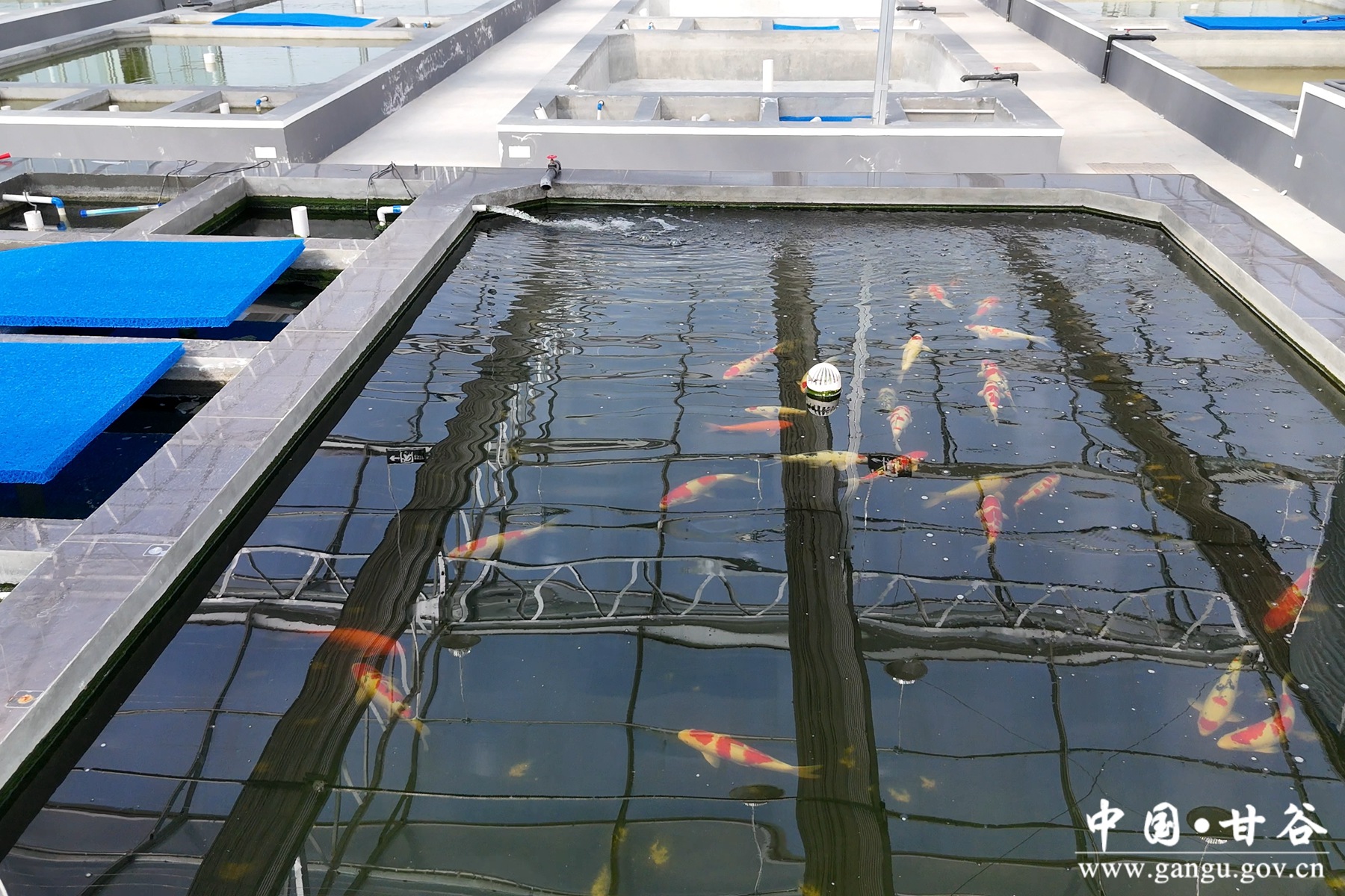 微信图片_20250623100524 微信图片_20250623100524