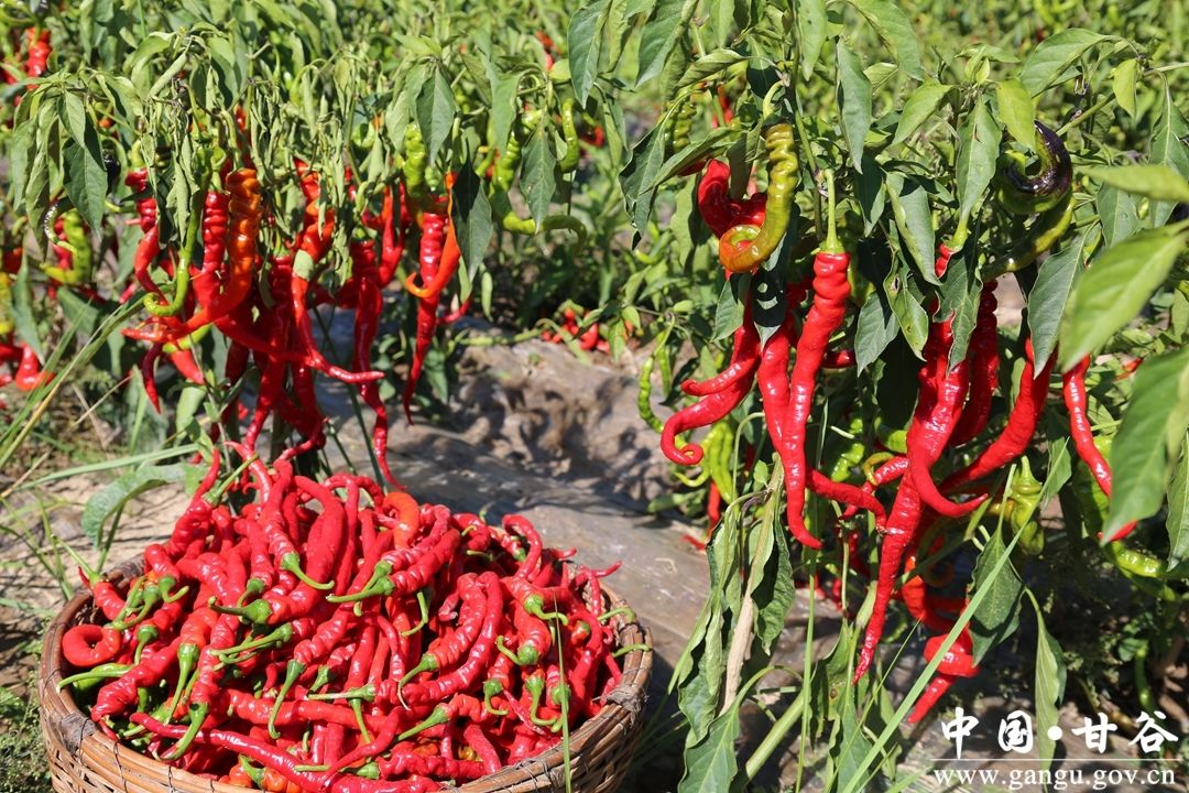 ba4af7e1571681e60fba26550bd33aa