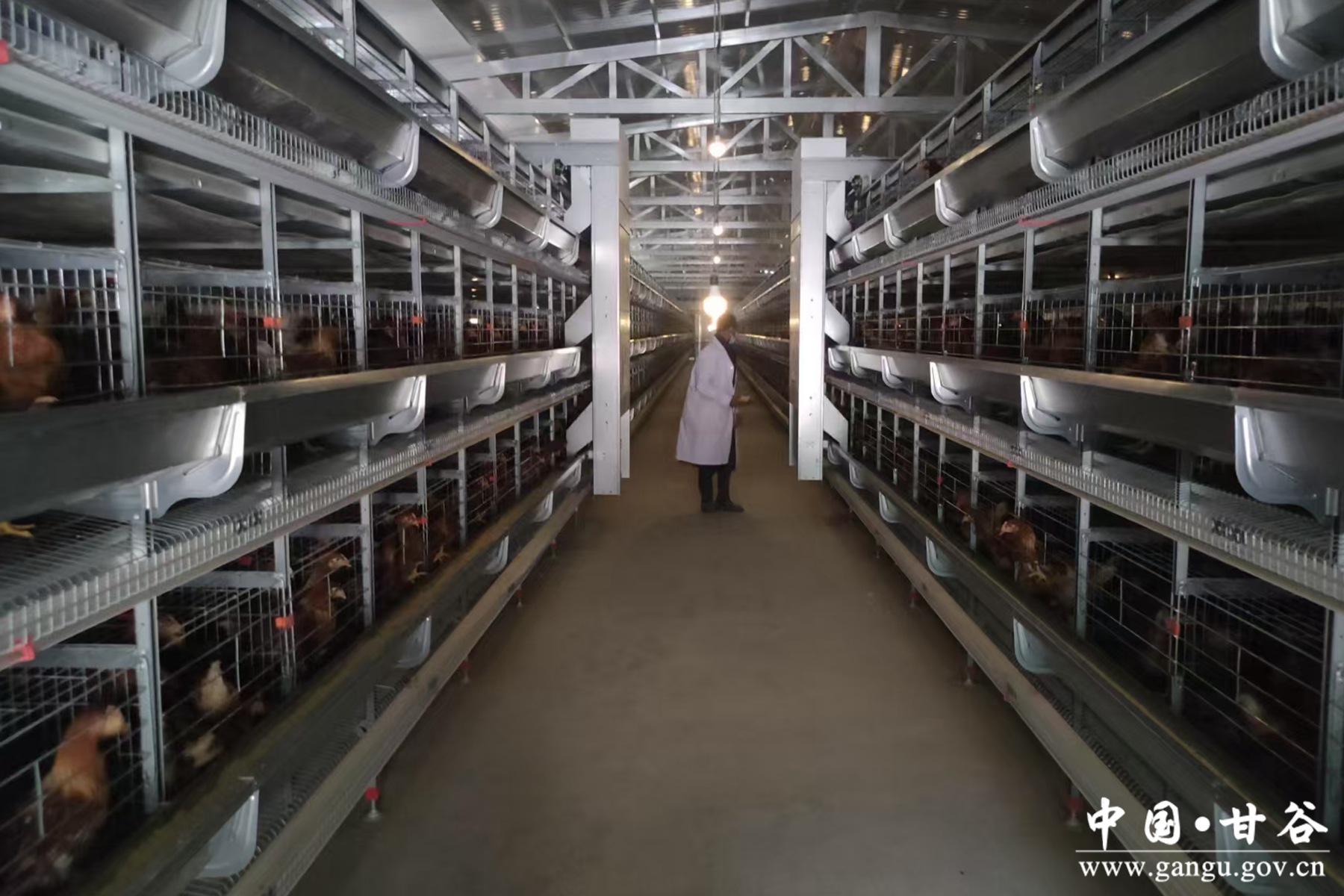 微信图片_20250624095406 微信图片_20250624095406