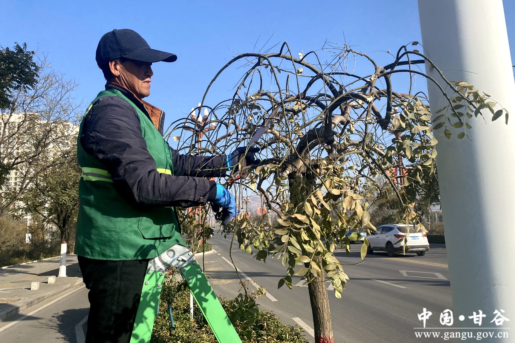 a583d49c3953614cf9d9265a395d0393 a583d49c3953614cf9d9265a395d0393