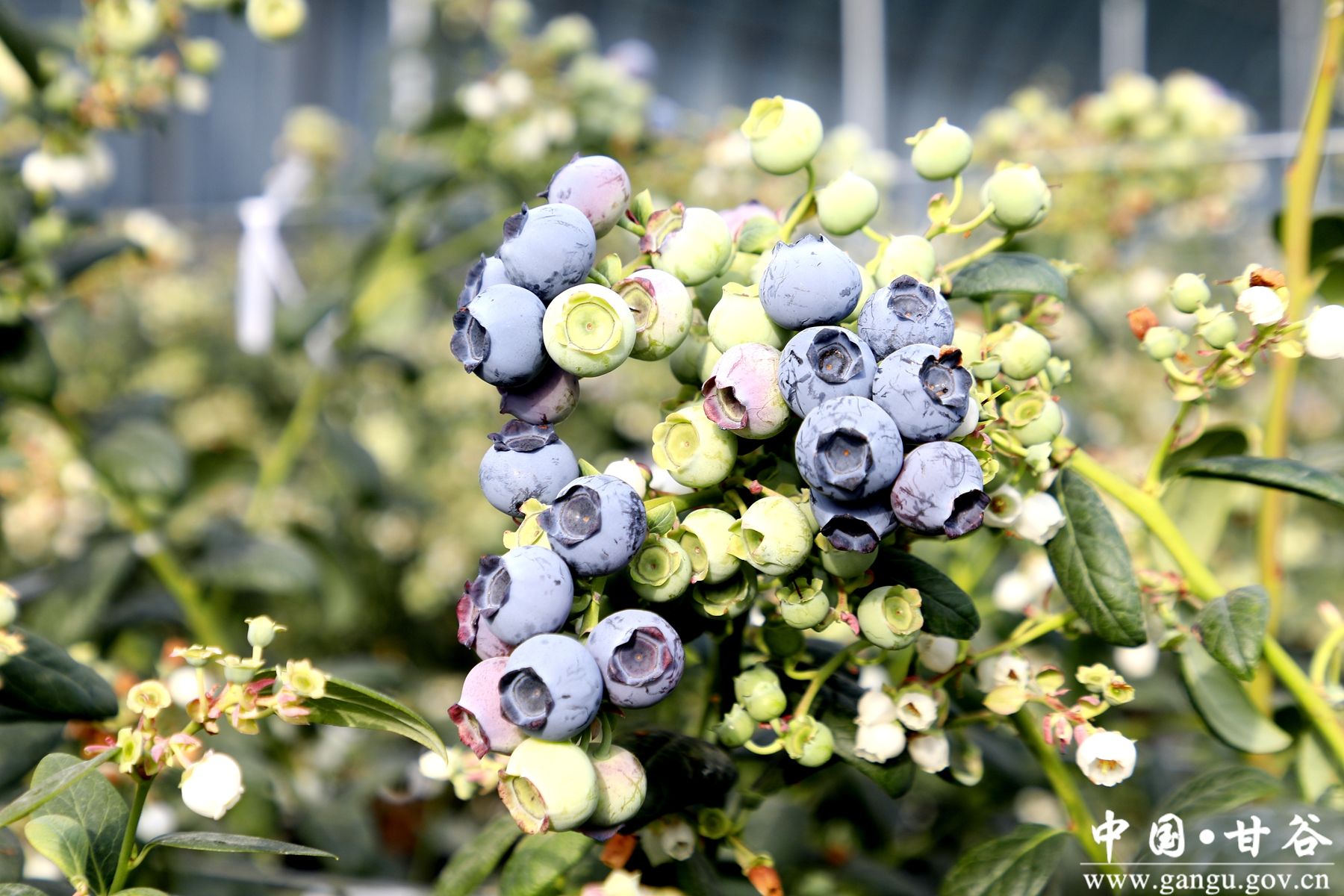 微信图片_20260211171816_286_64 微信图片_20260211171816_286_64