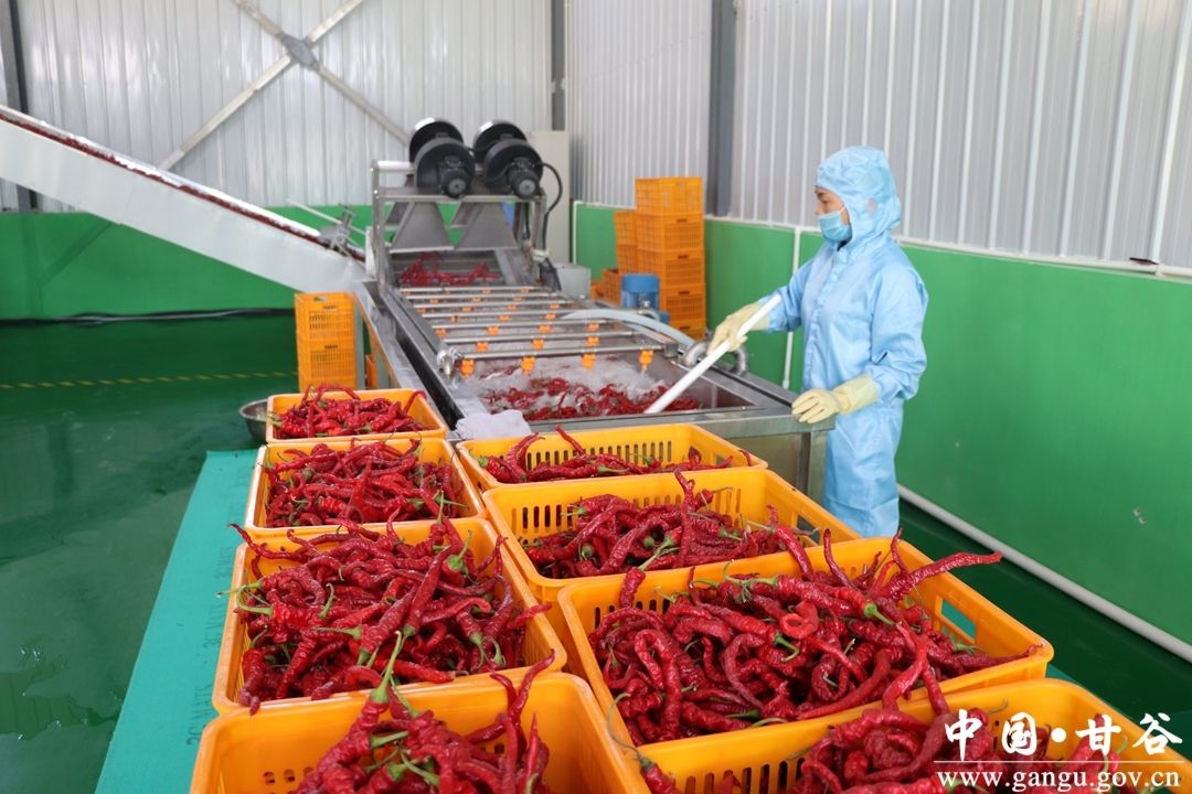 74520494beea17771cb01423d3227f9