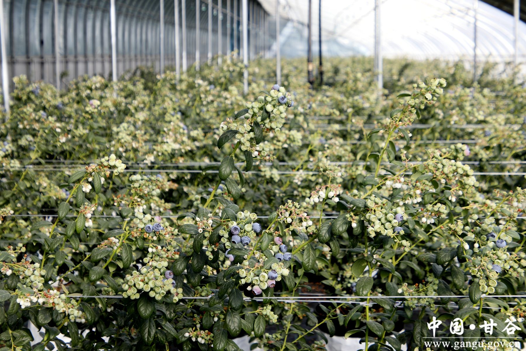 微信图片_20260211171632_278_64 微信图片_20260211171632_278_64