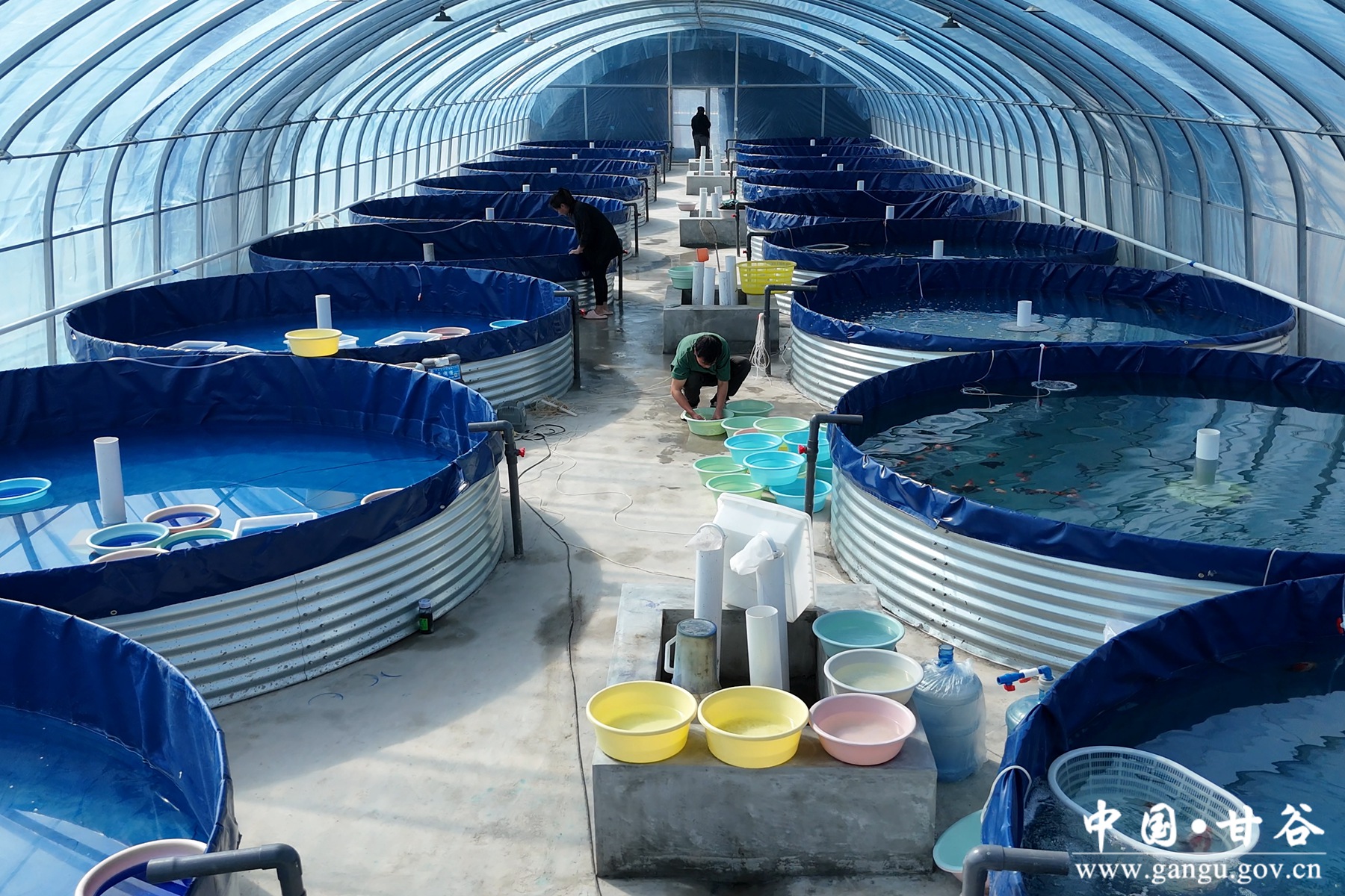 微信图片_20250623100549 微信图片_20250623100549