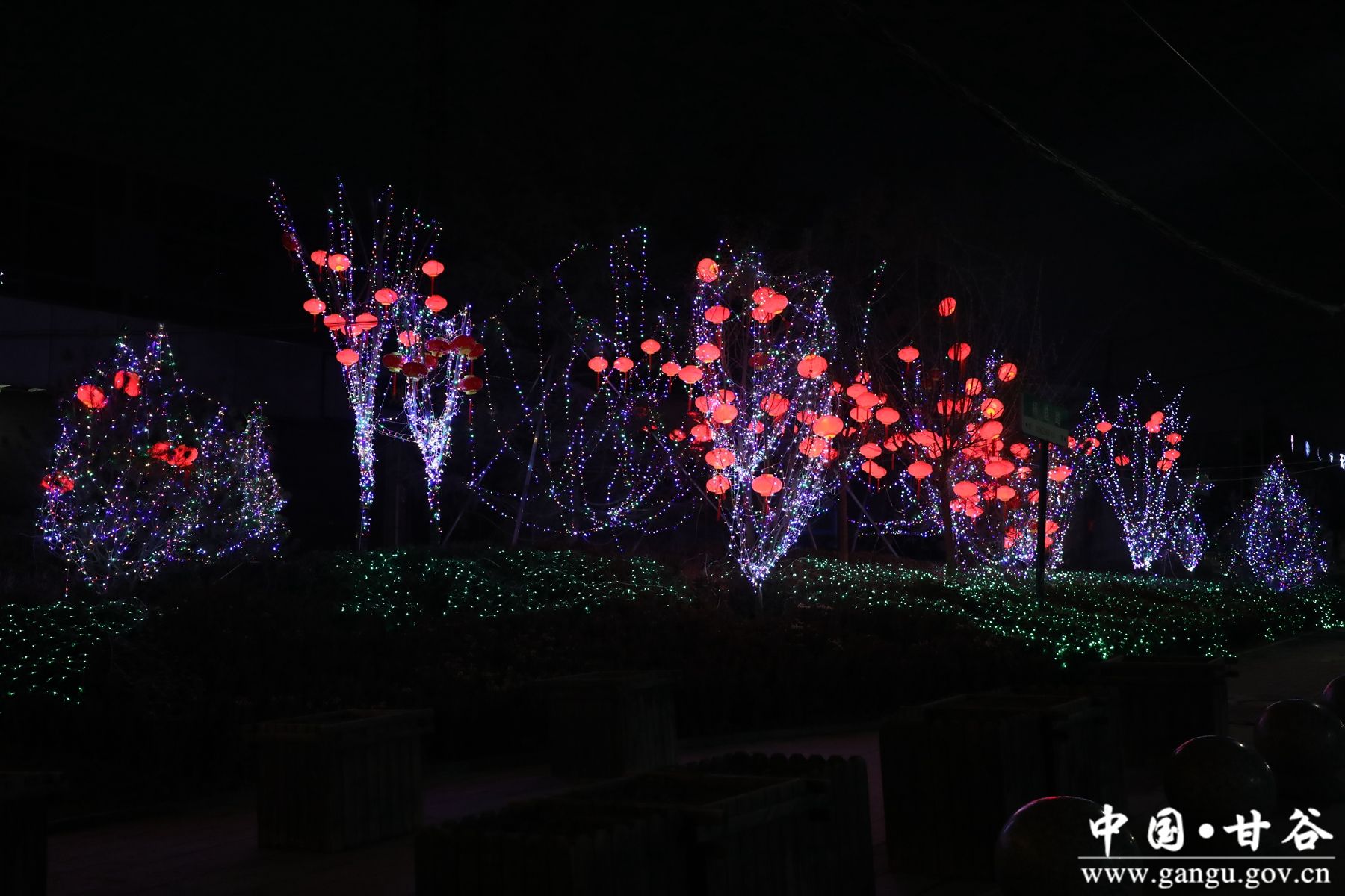 926A1323_副本 926A1323_副本