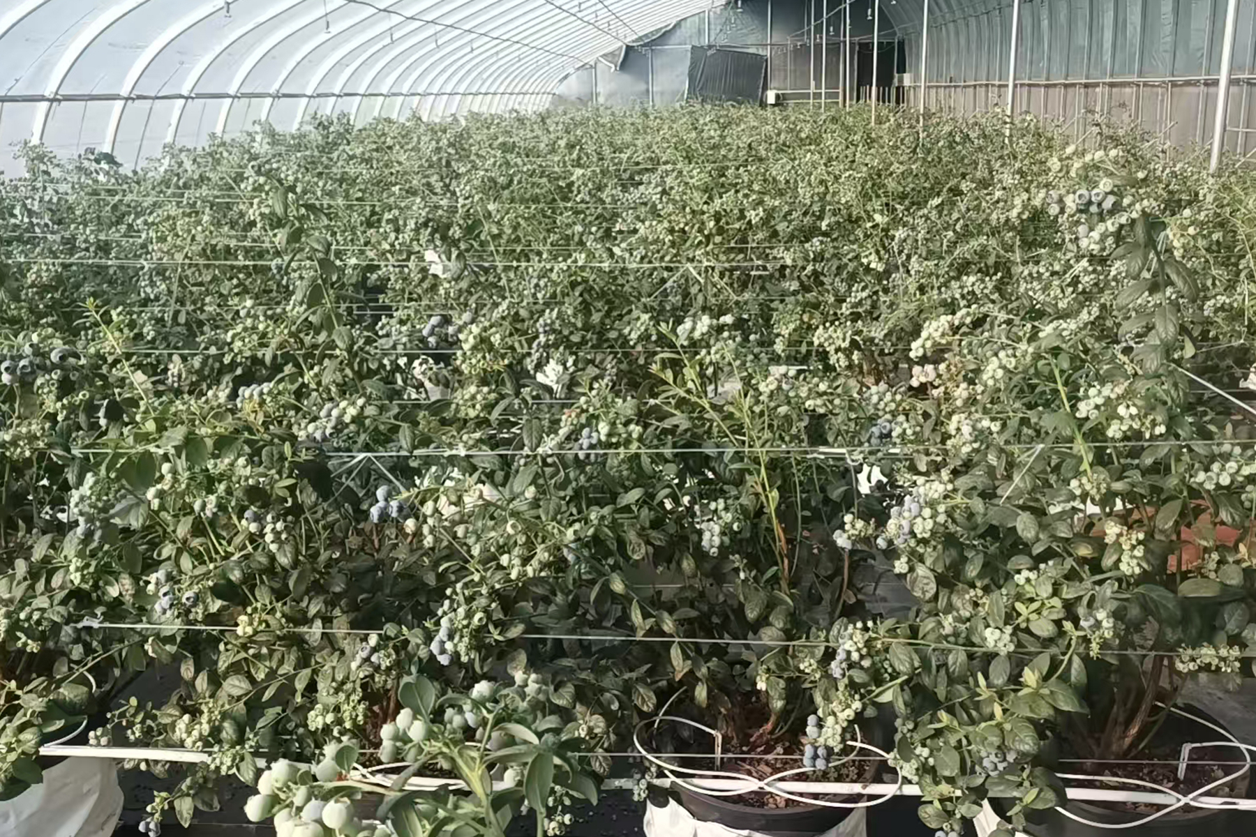 微信图片_20260317091624_94_35 微信图片_20260317091624_94_35