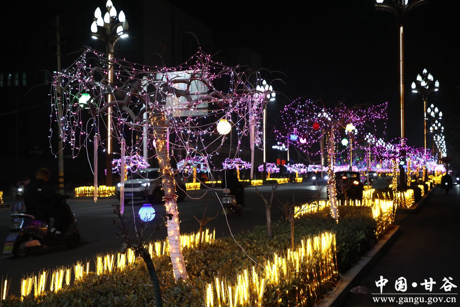 926A1351_副本 926A1351_副本