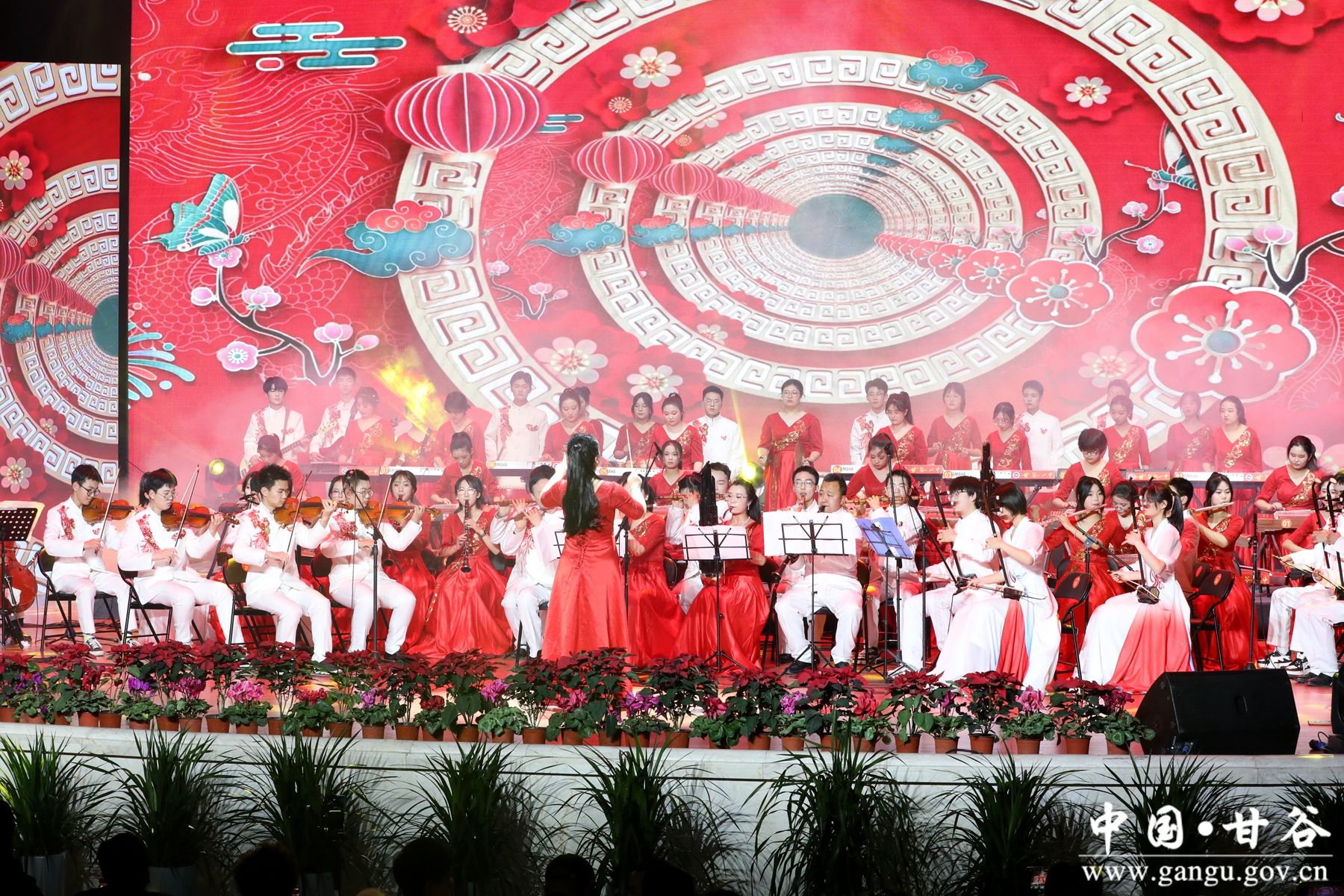 IMG_9925_副本 IMG_9925_副本