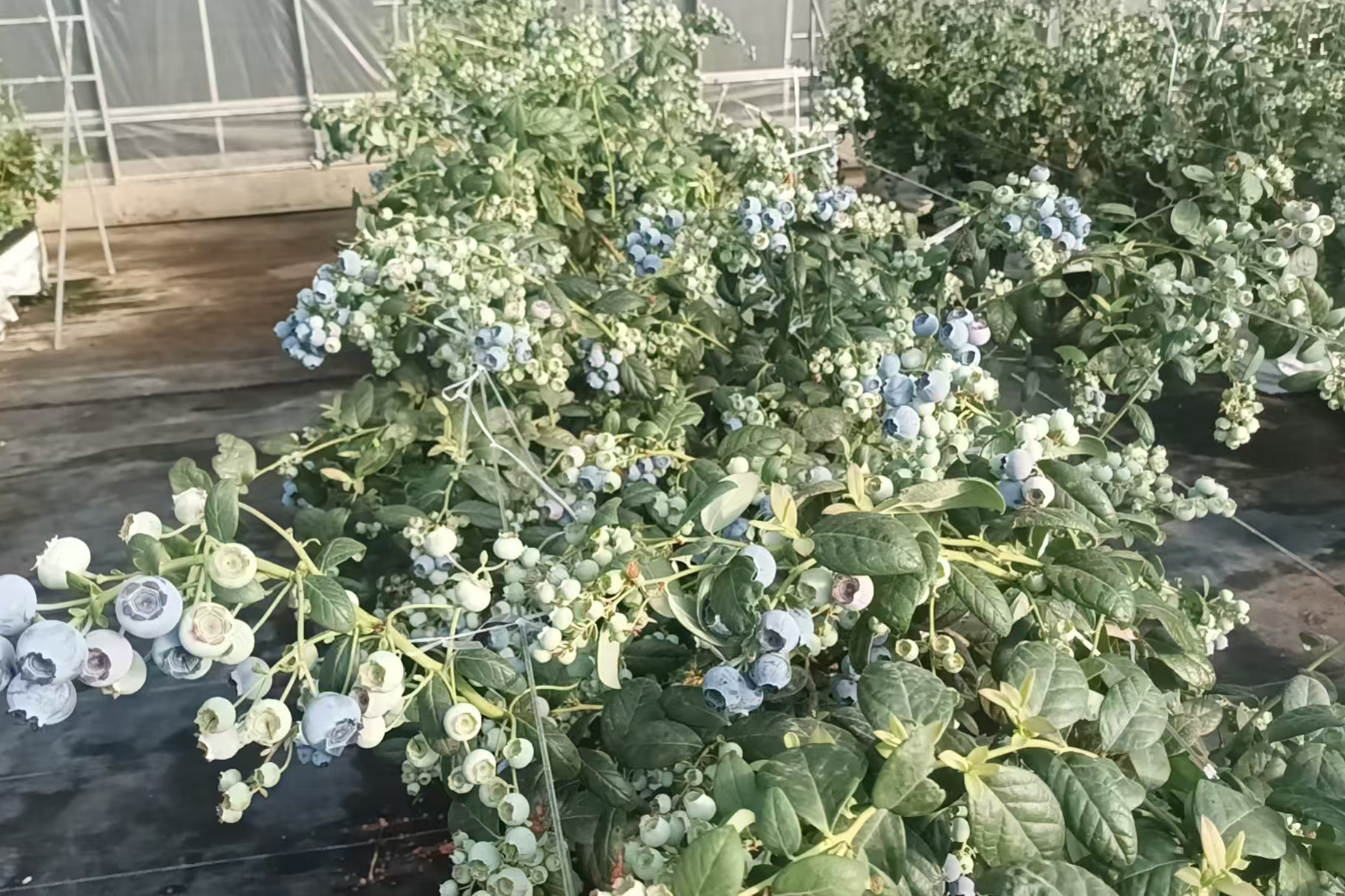 微信图片_20260317091621_92_35 微信图片_20260317091621_92_35