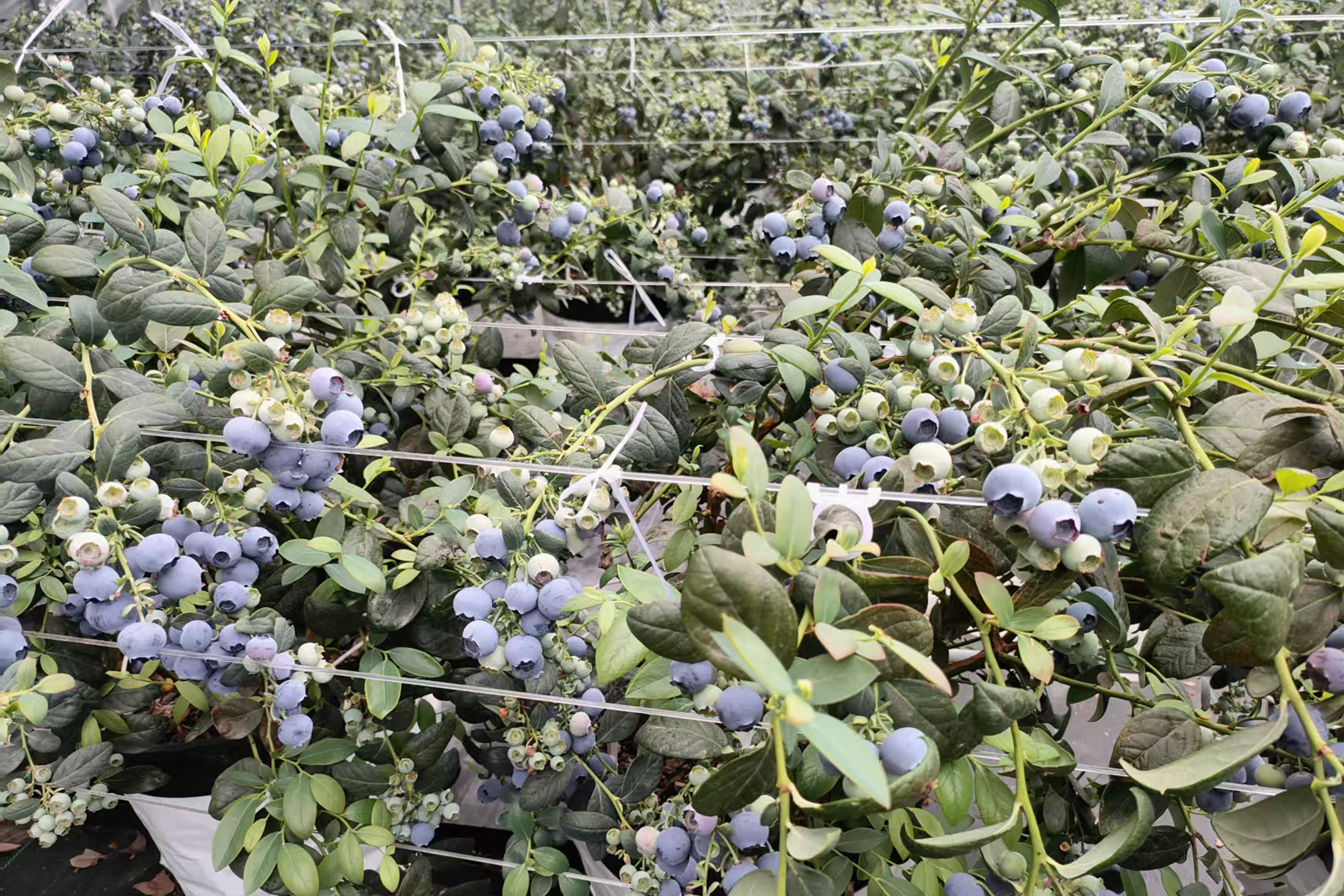 微信图片_20260317091620_91_35 微信图片_20260317091620_91_35